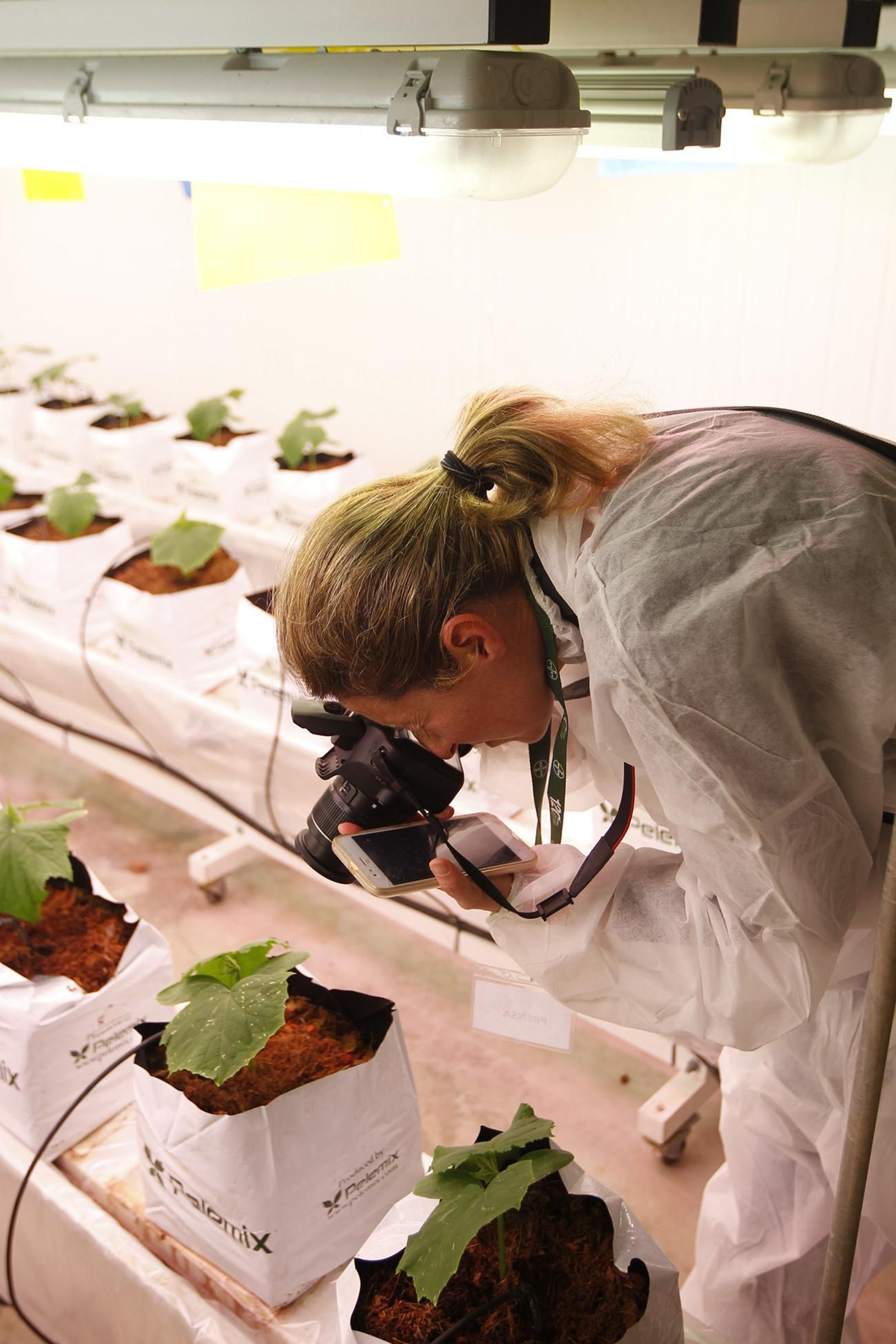 Fotogalería presentación resultados Bayer