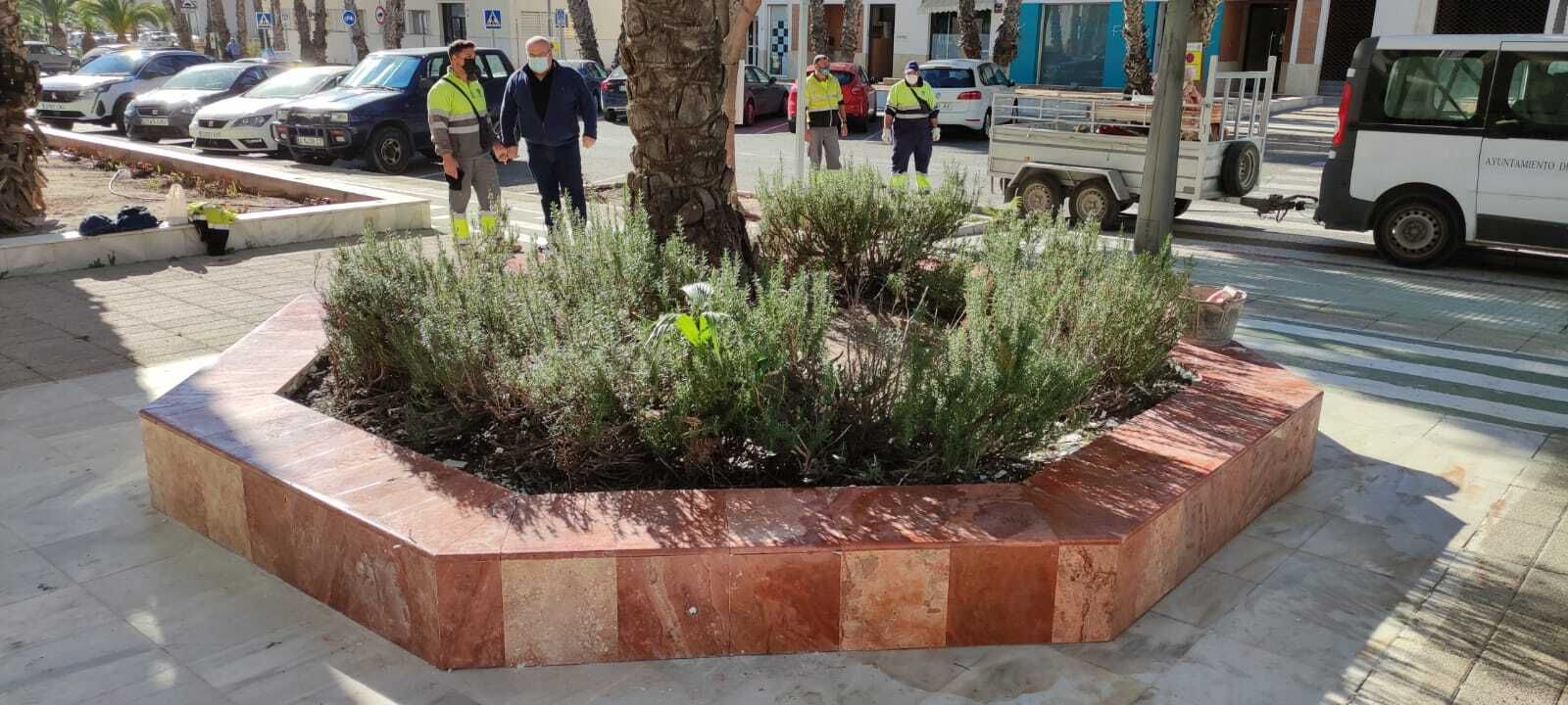 Huércal-Overa mejora las zonas ajardinadas de la avenida Doctor Jiménez Díaz