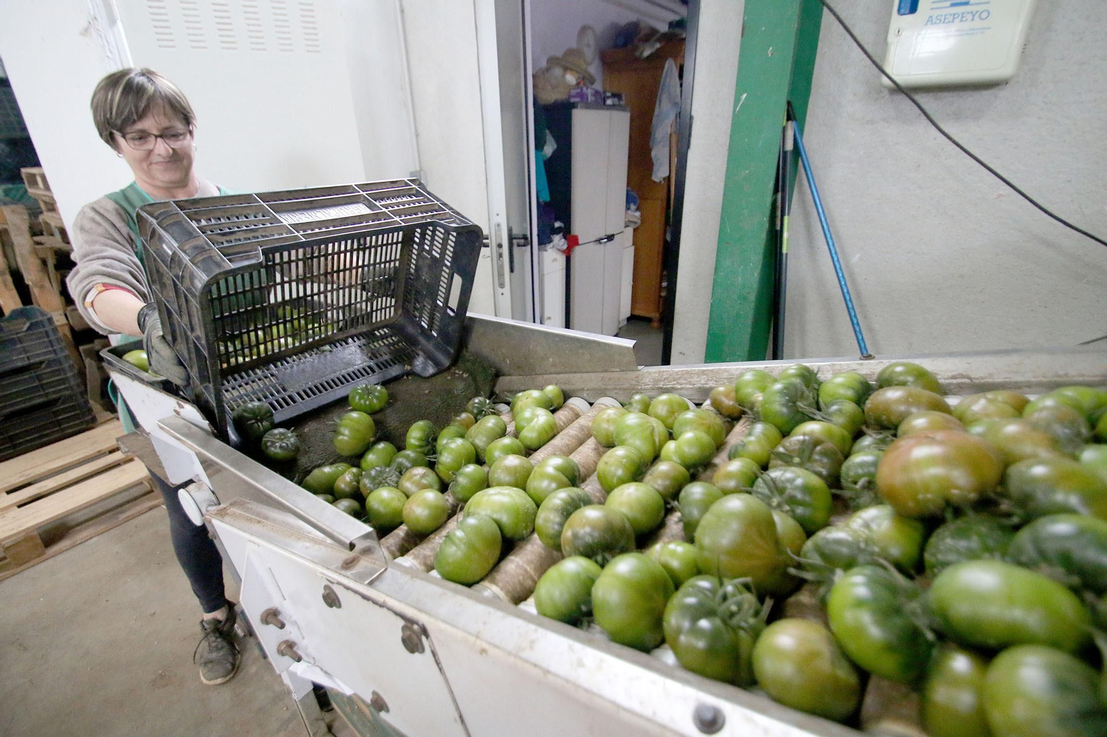 Tomate Raf, Doña Carmen en Cabo de Gata