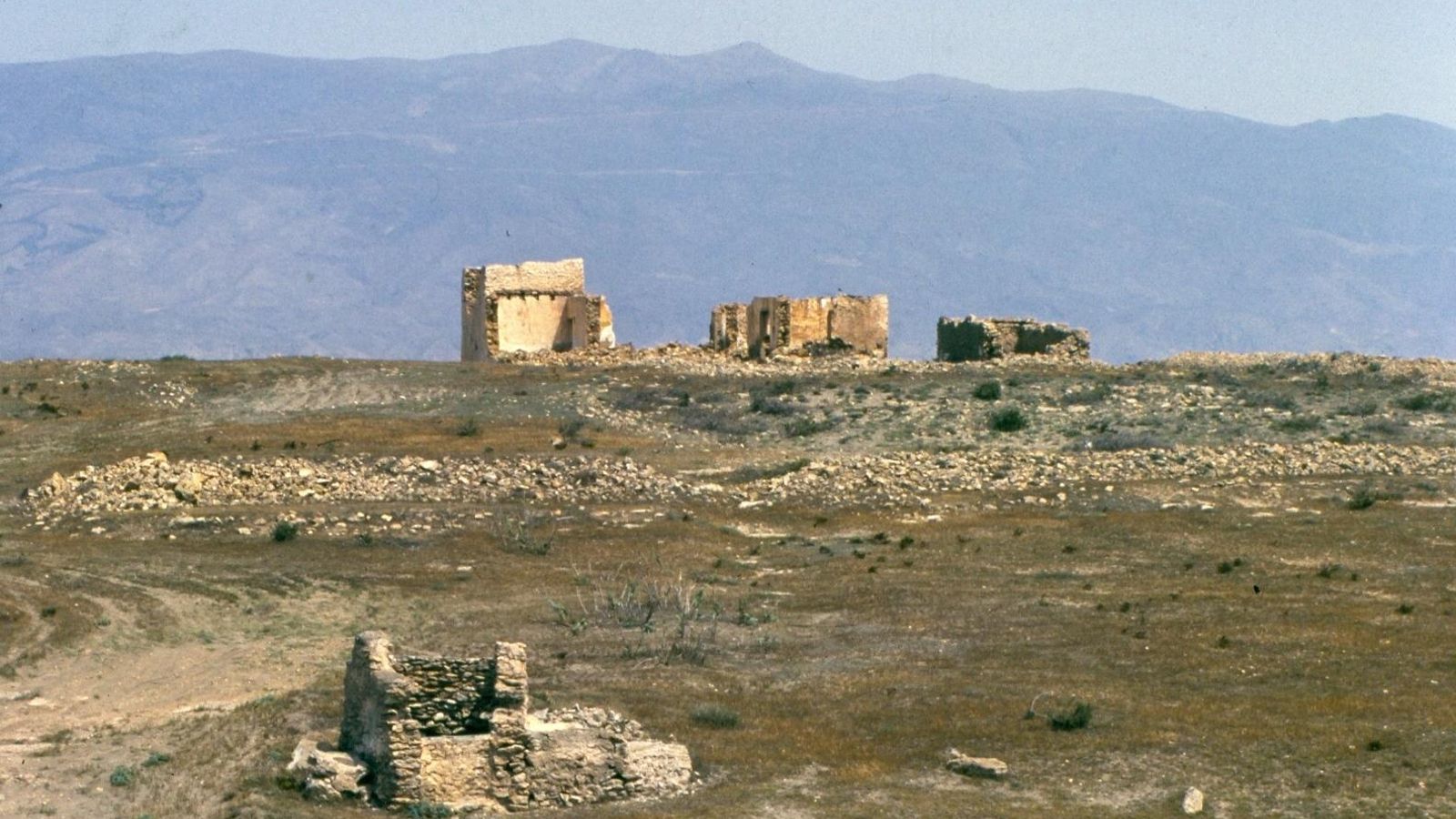 Sempiterno conflicto entre agricultores y ganaderos.