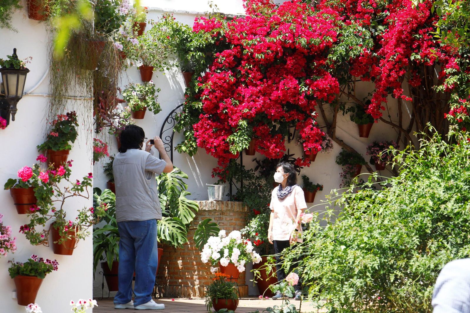 Un recorrido en imágenes por los patios de la ruta Regina-Realejo