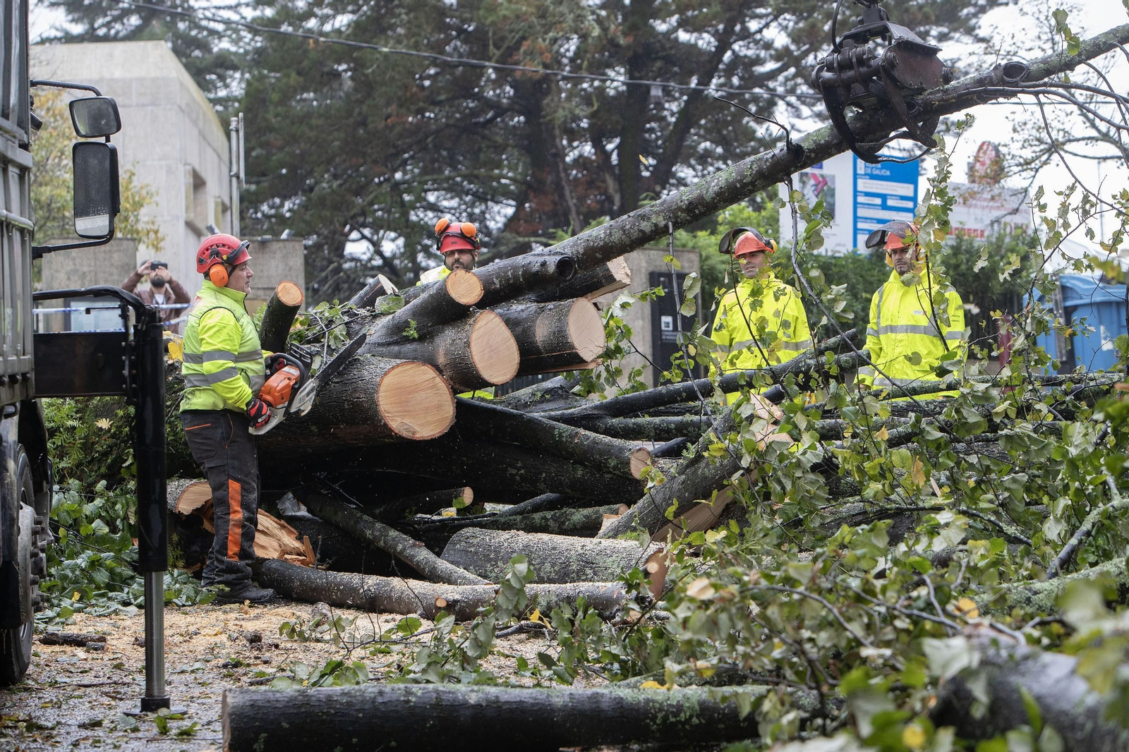 Los operarios de Parques y Jardines talan los árboles caídos en el Parque del Castro de Vigo