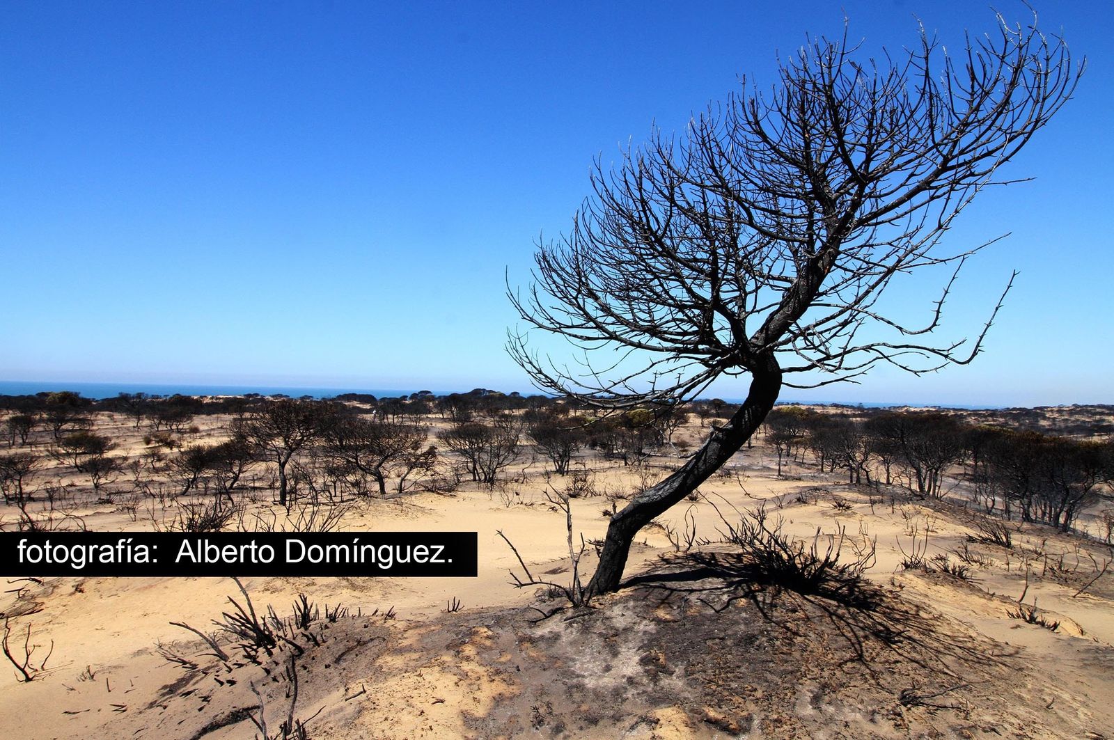 Imágenes de Cuesta Maneli tras el incendio.