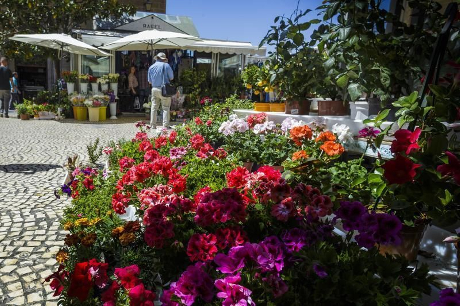 Plaza de las Flores, lugar en cuyo entorno se produjo el suceso.