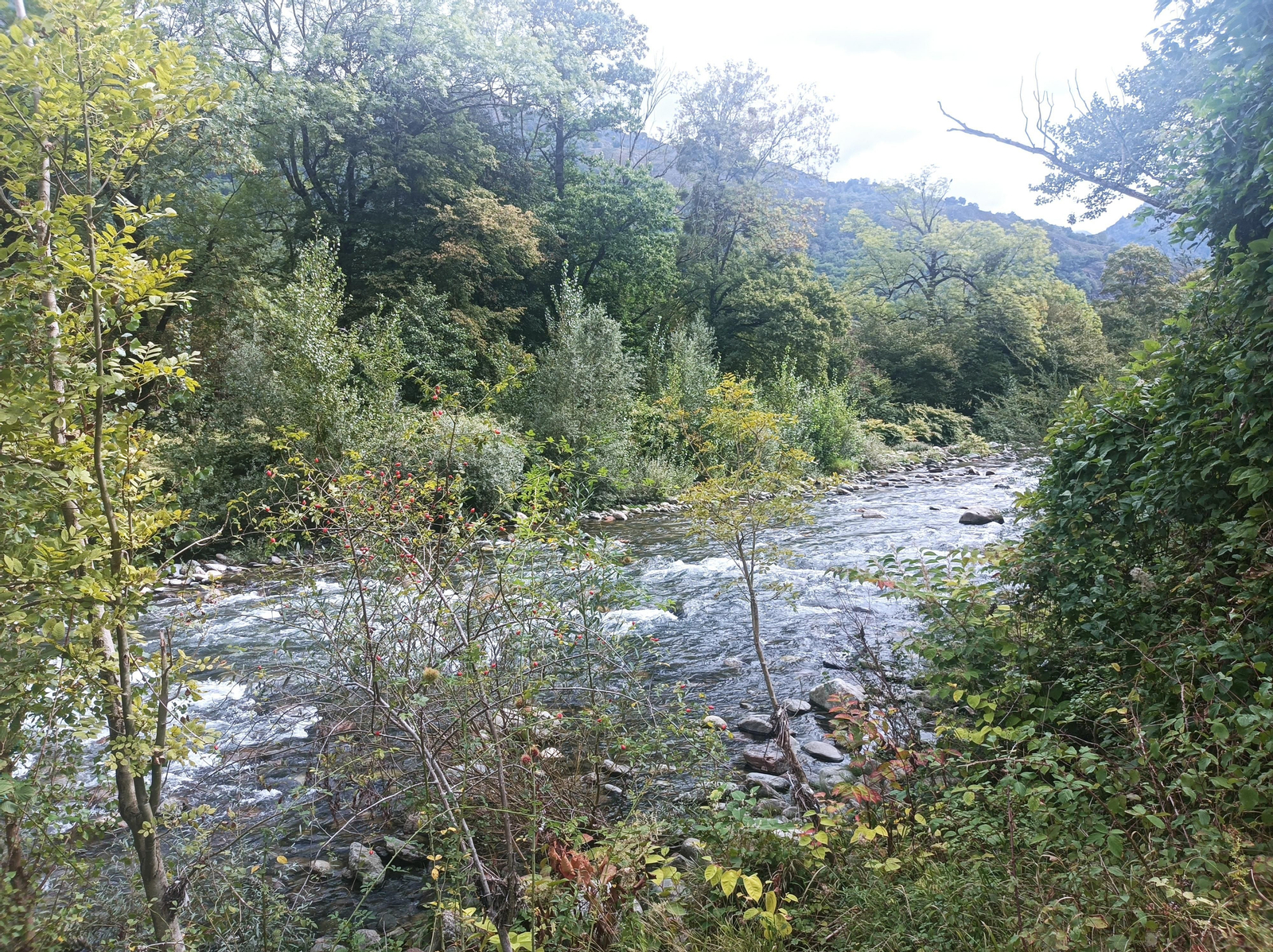 Por la orilla del río Garona.