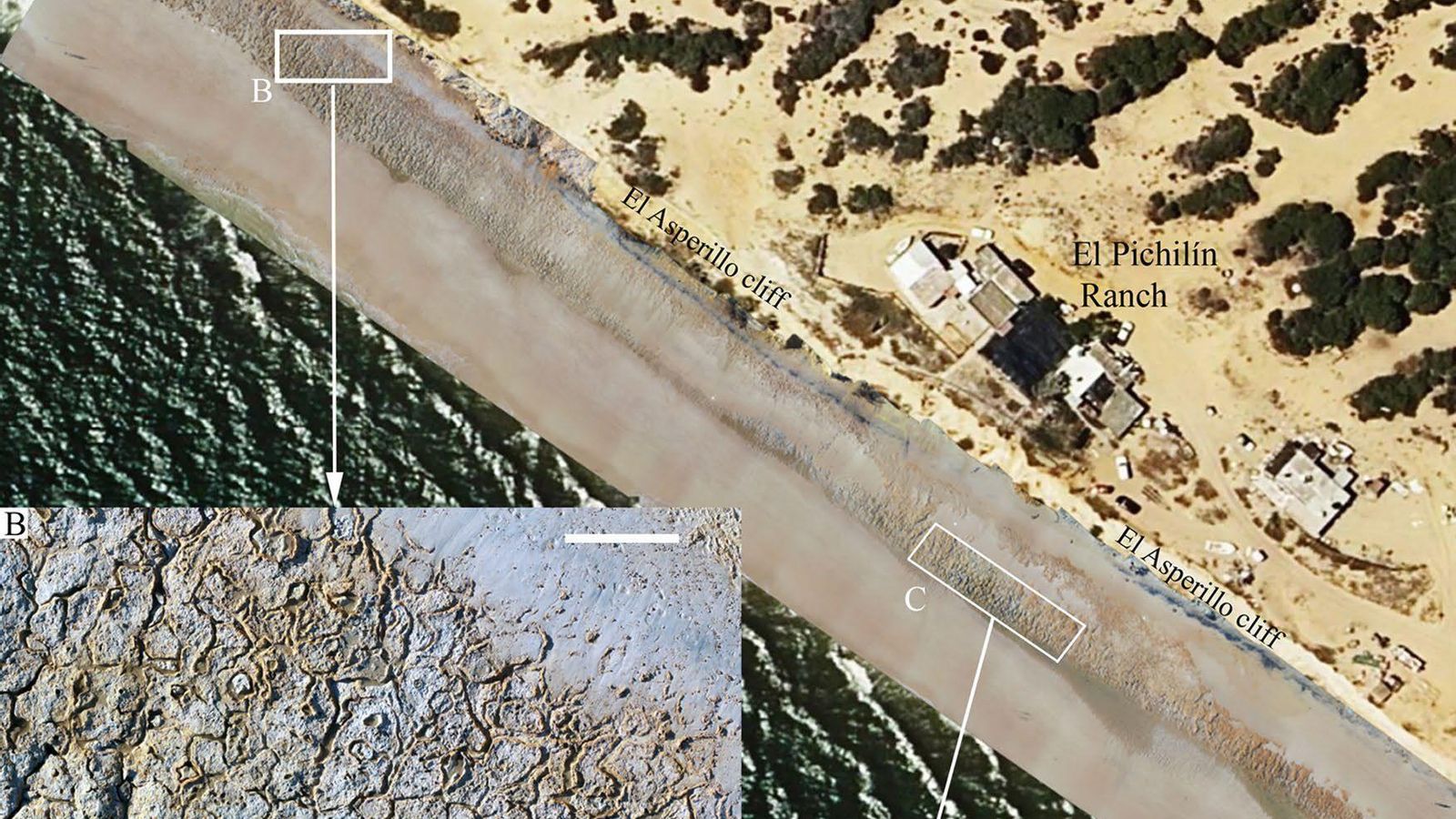 Zona intermareal actual en el entorno de El Pichilín, en playa Castilla, Matalascañas, donde se encontraron las huellas.