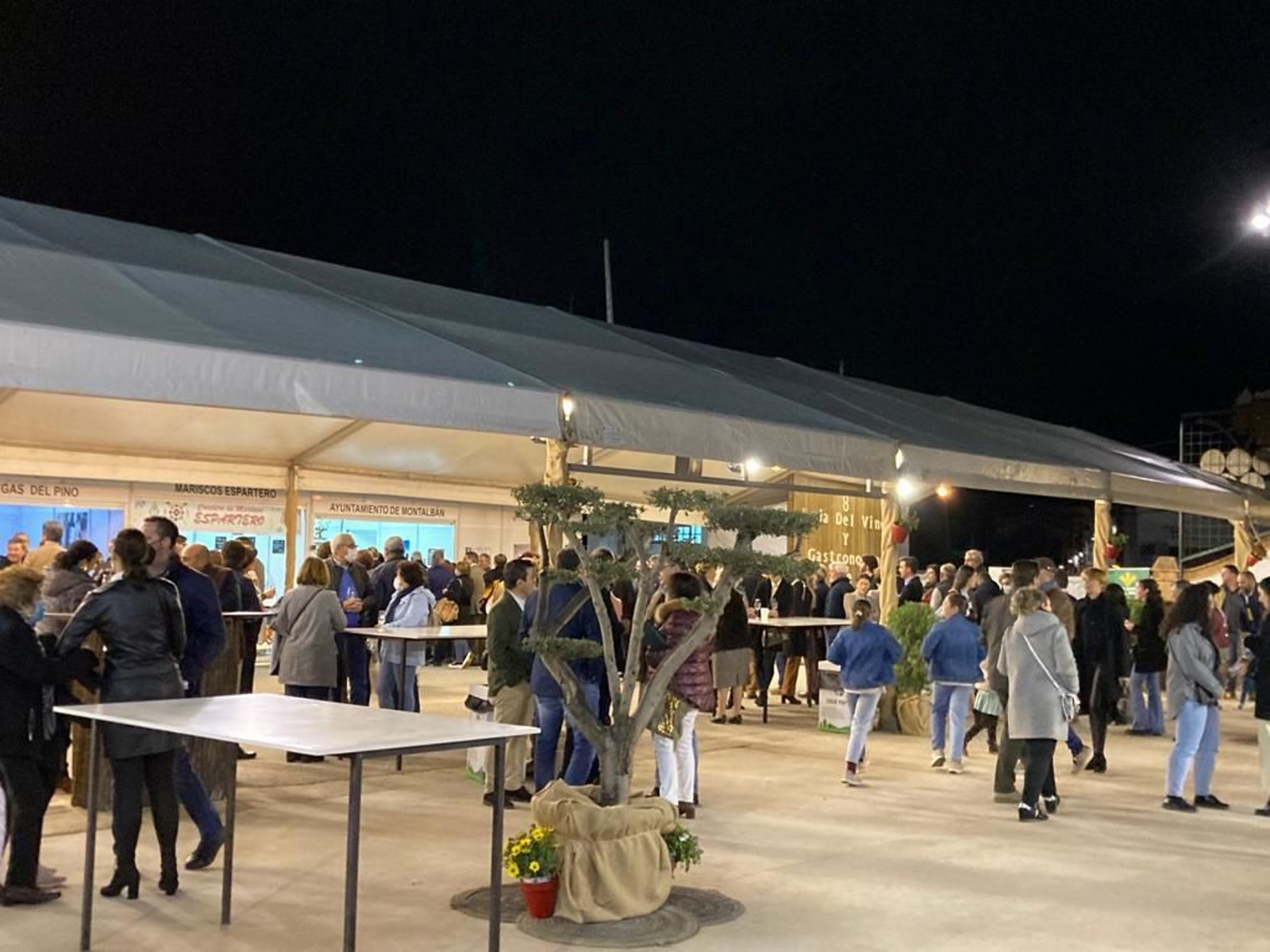 La inauguración de la Feria del Vino de Tinaja en Montalbán, en imágenes