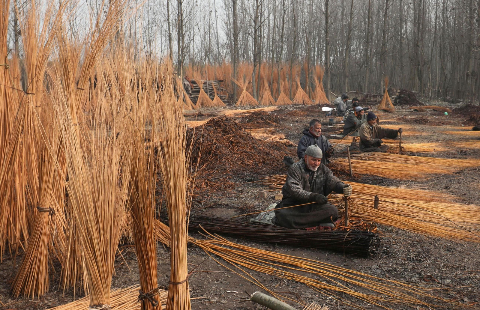 Una tradición ancestral en imágenes: La artesanía de mimbre de sauce de Cachemira