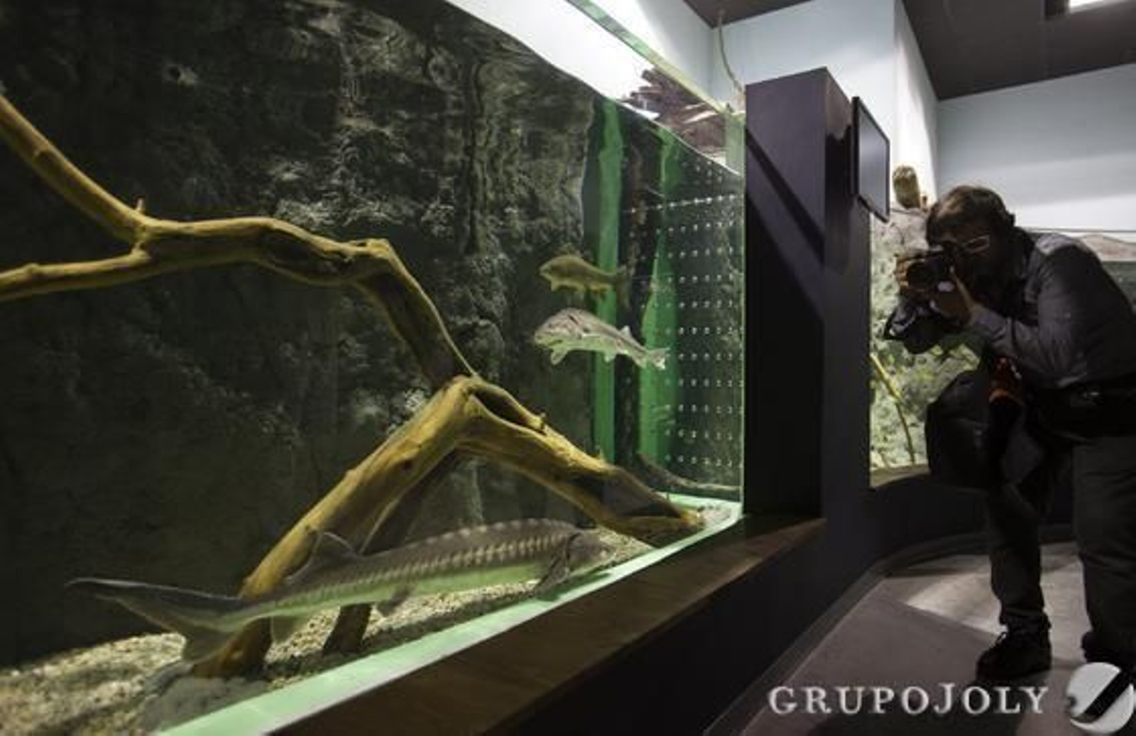 Foto: Antonio Pizarro