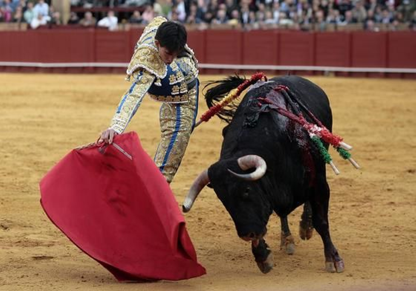 Jiménez Fortés, con el tercer toro de la ganadería de El Ventorrillo.

Foto: Juan Carlos Muñoz
