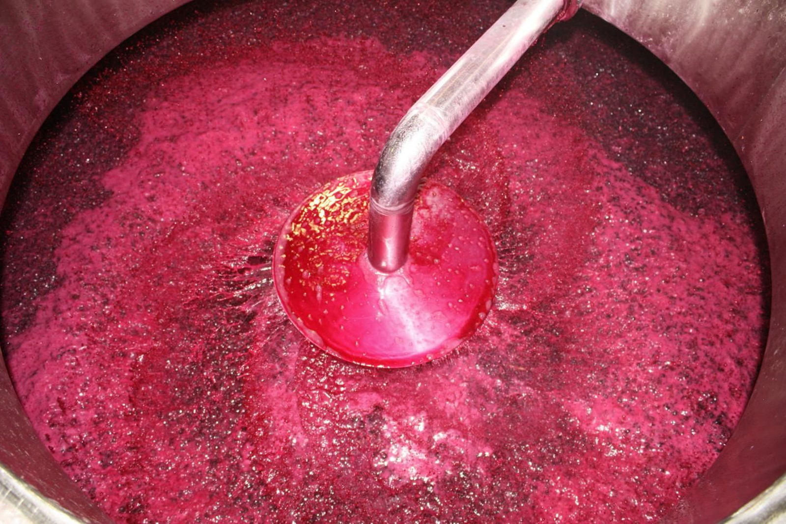 Proceso de elaboración de vino.