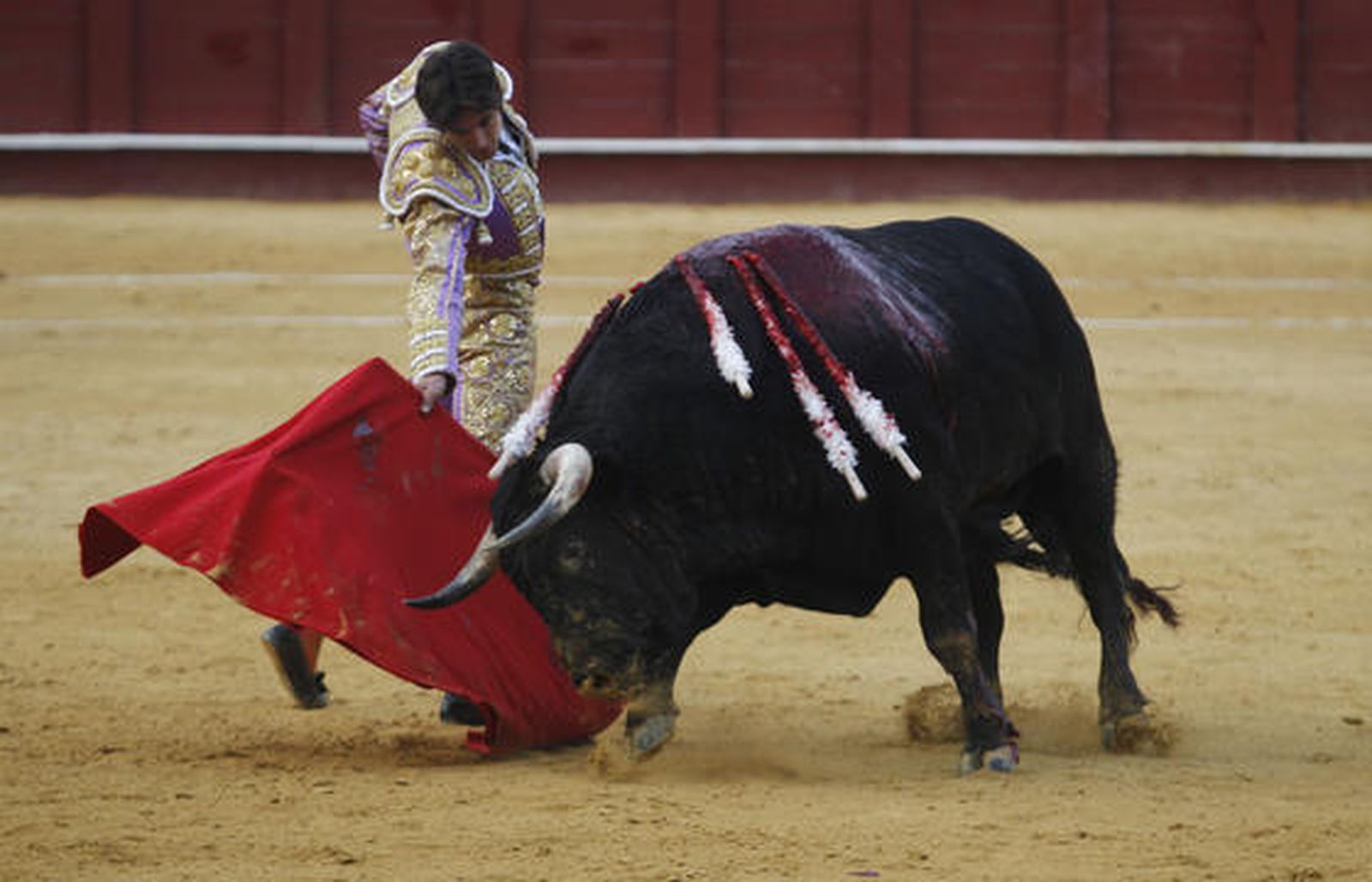 Foto: Sergio Camacho