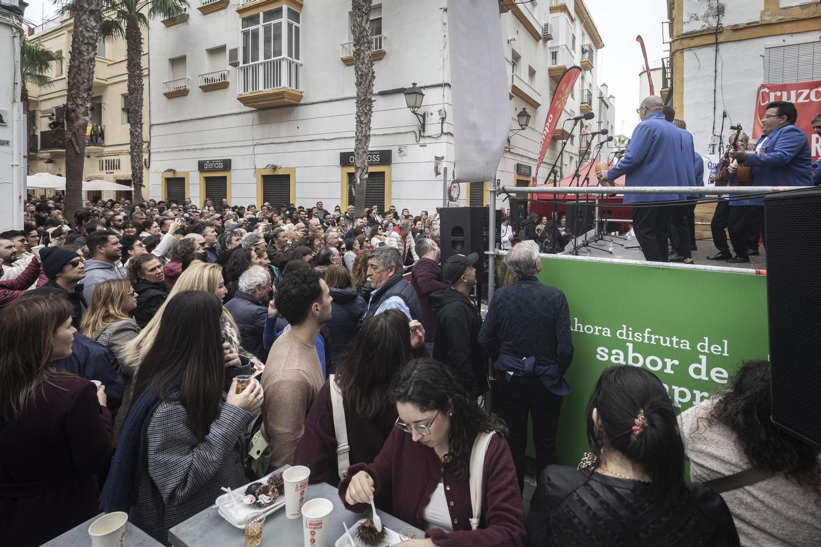 Las imágenes de la Erizada popular del Carnaval de Cádiz 2025