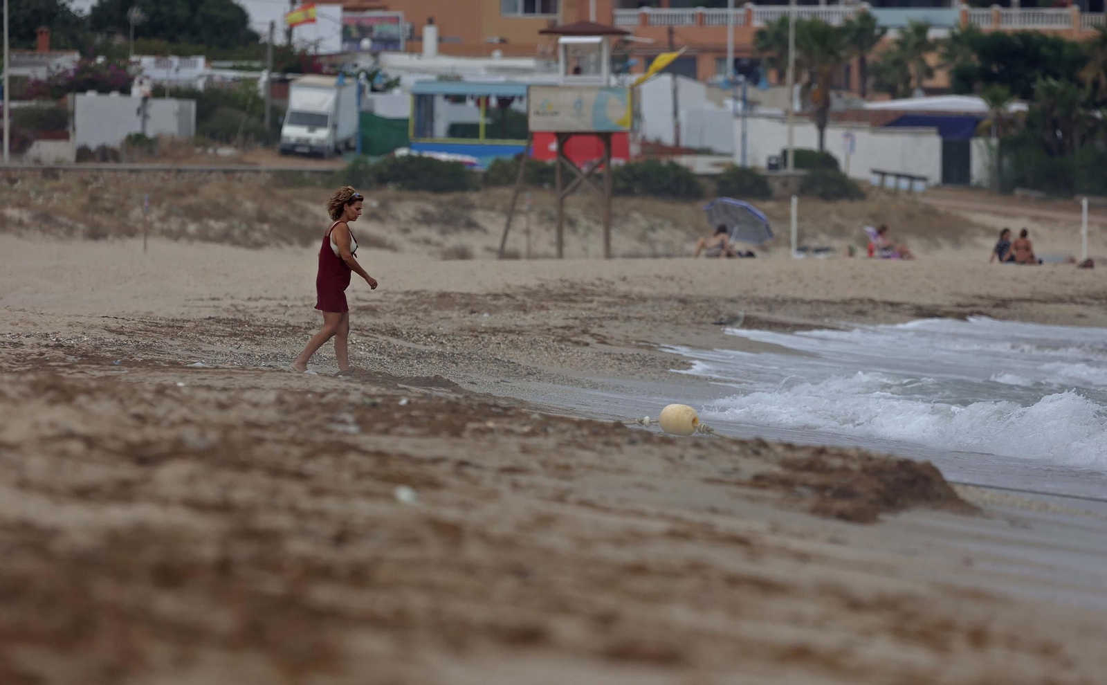 La orilla de la playa de Getares, con acumulación de algas.
