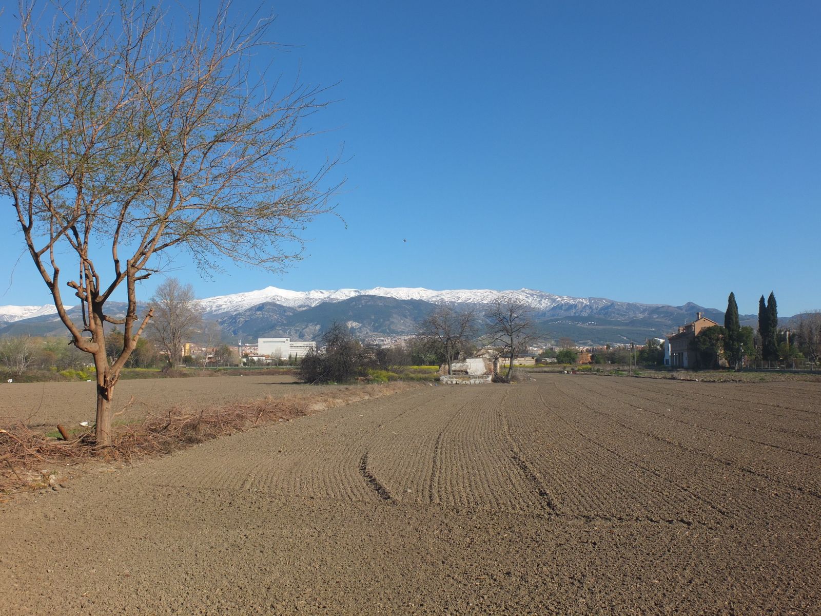 Imagen de archivo de tierras secas en la Vega de Granada