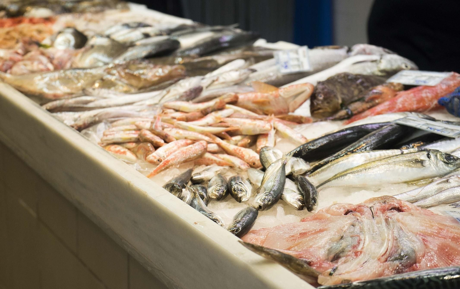 Pescados en Roquetas.