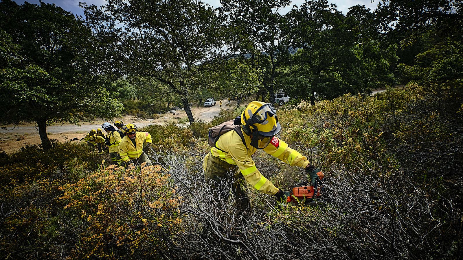 Simulacro de incendio del CEDEFO de Algodonales.