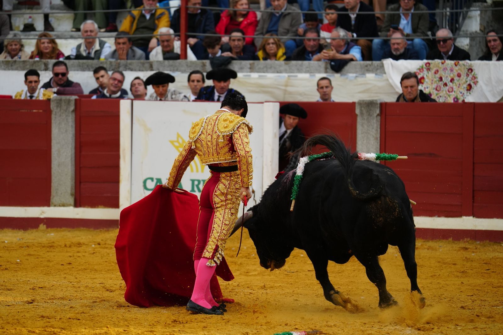 La corrida de primavera con Talavante, Pablo Aguado y Juan Ortega en Pozoblanco, en imágenes