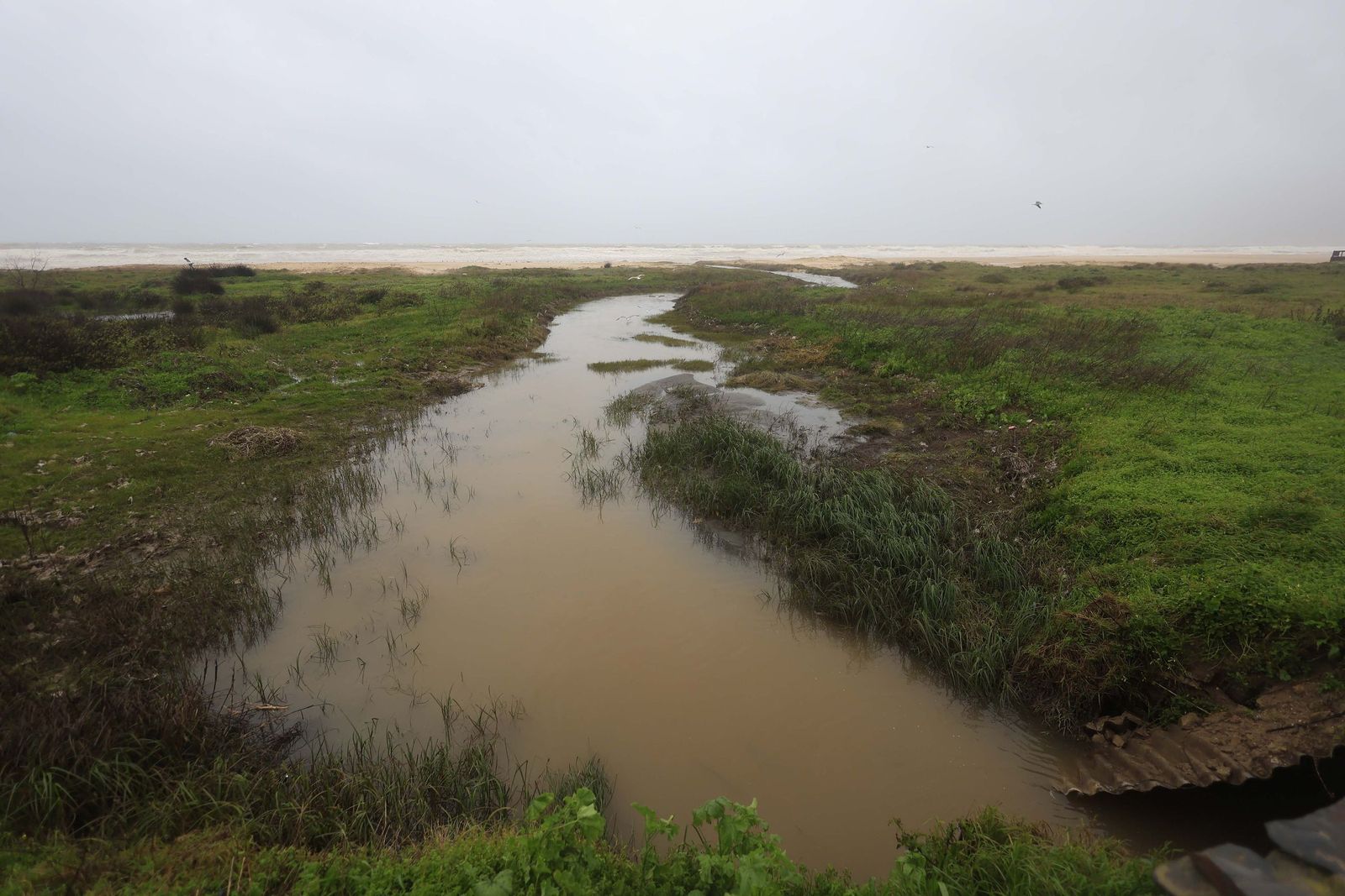 Fotos de los efectos de la borrasca Leonardo en Tarifa, Algeciras y Castellar