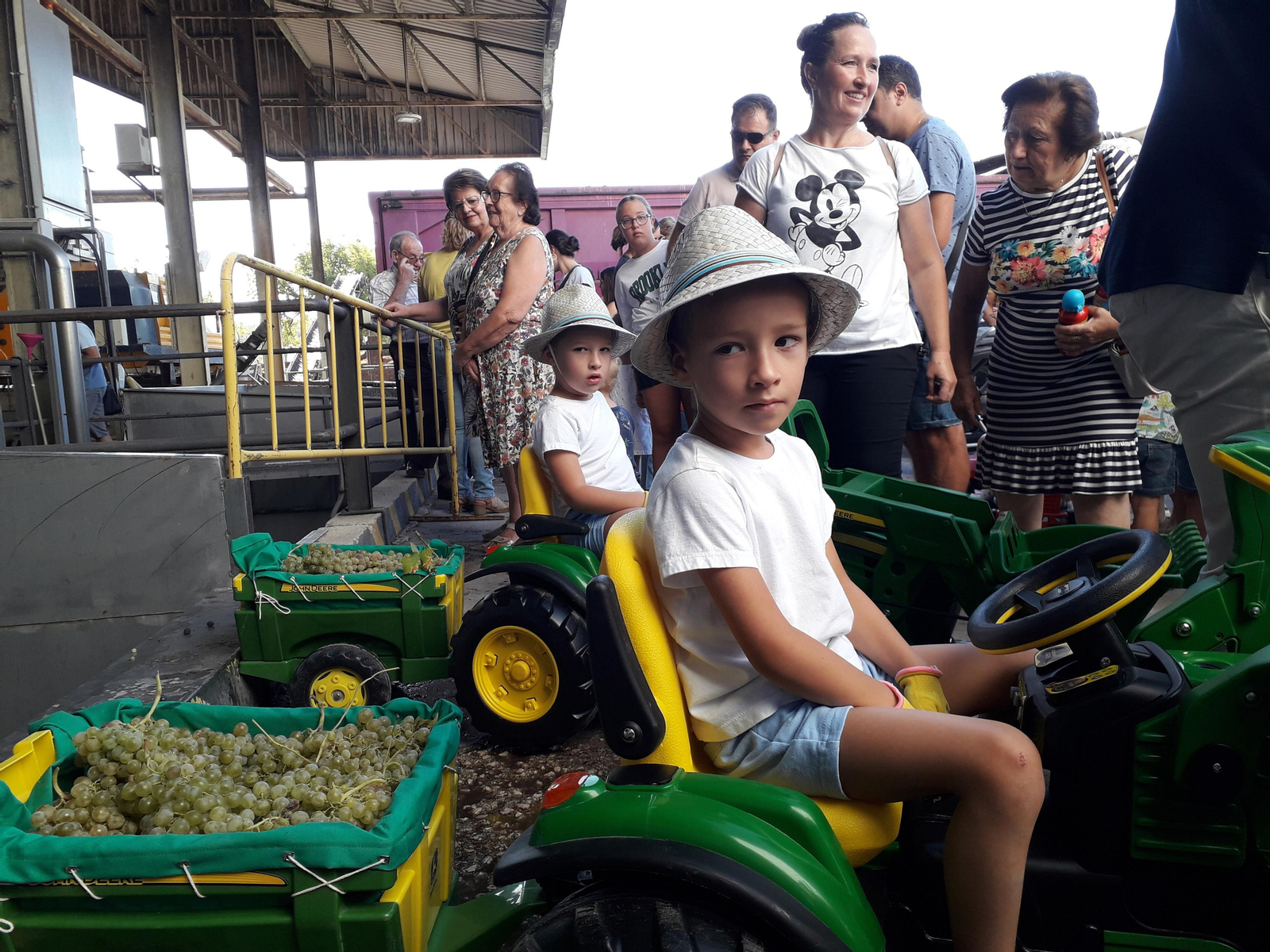 La primera vendimia infantil de Montilla, en imágenes