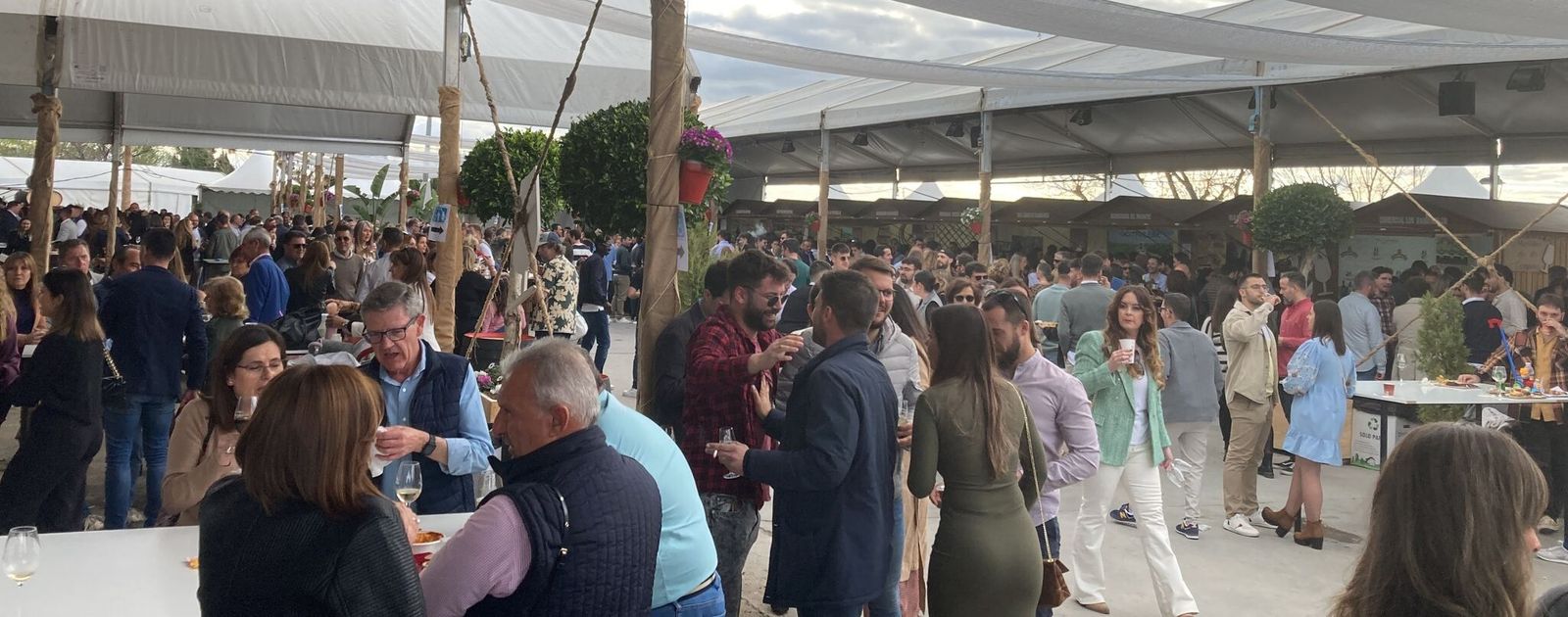 Feria del Vino de Tinaja de Montalbán.