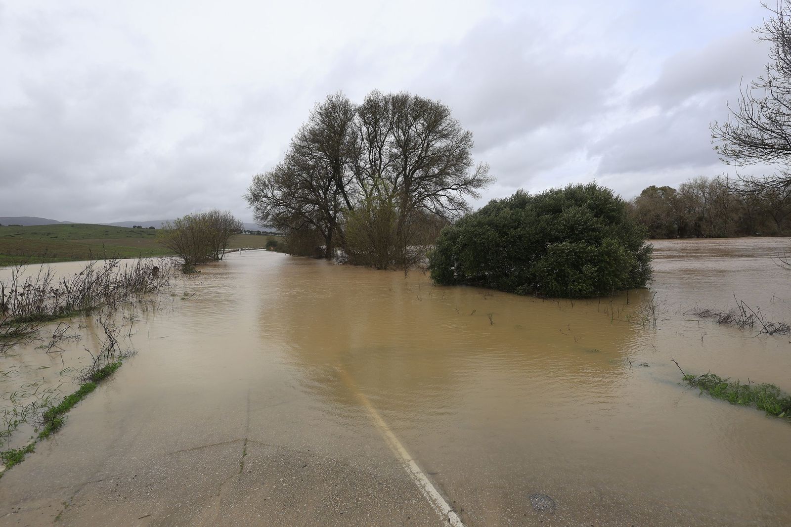 Fotos de las inundaciones y efectos de la borrasca Leonardo en Jimena y Tesorillo