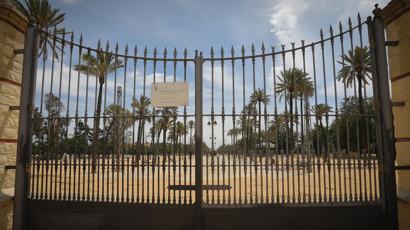 Cae un árbol en una casa por el fuerte temporal de viento que azota Jerez
