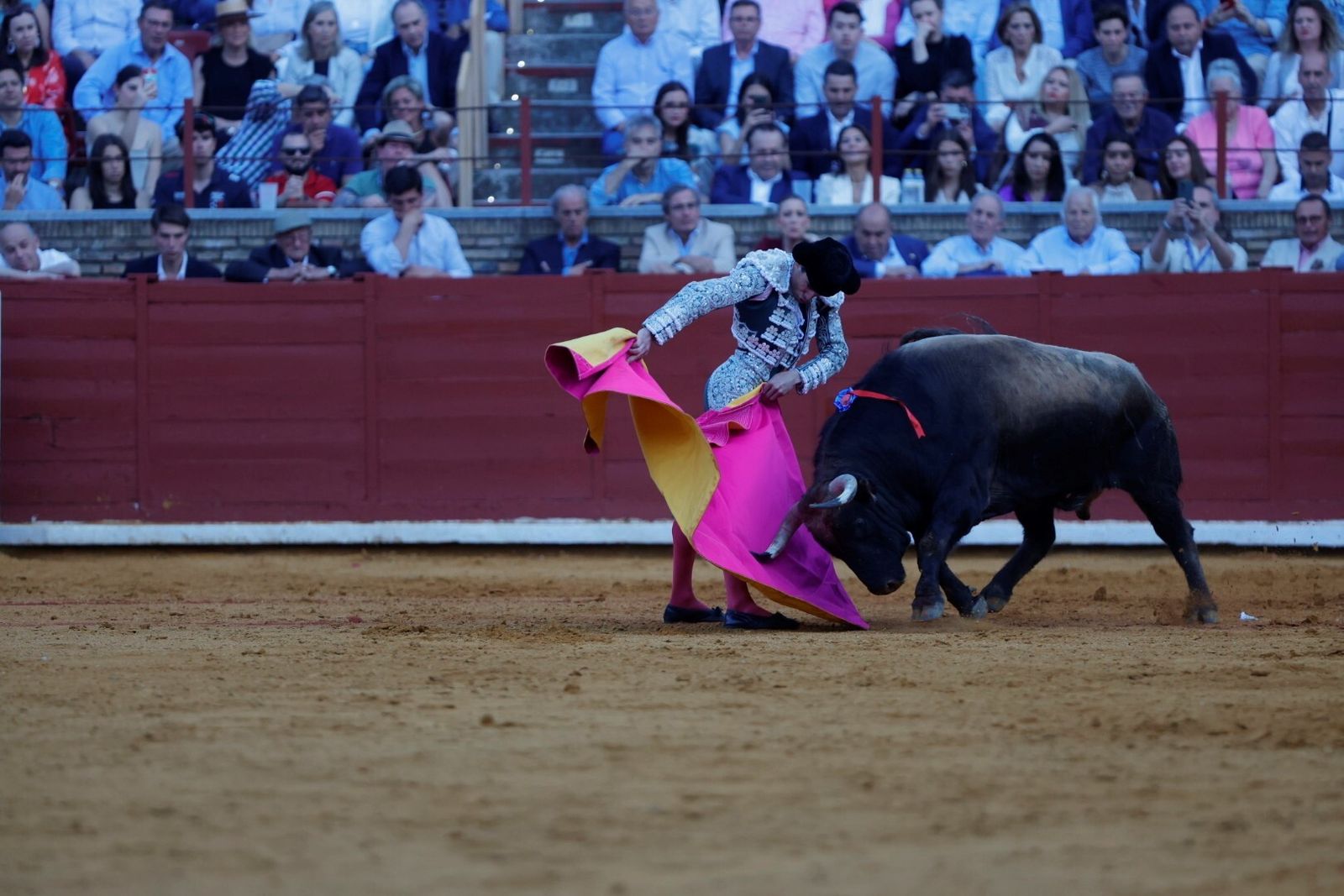 Las mejores fotos de la corrida de Morante, Ortega y Roca Rey en la Feria Taurina de Córdoba