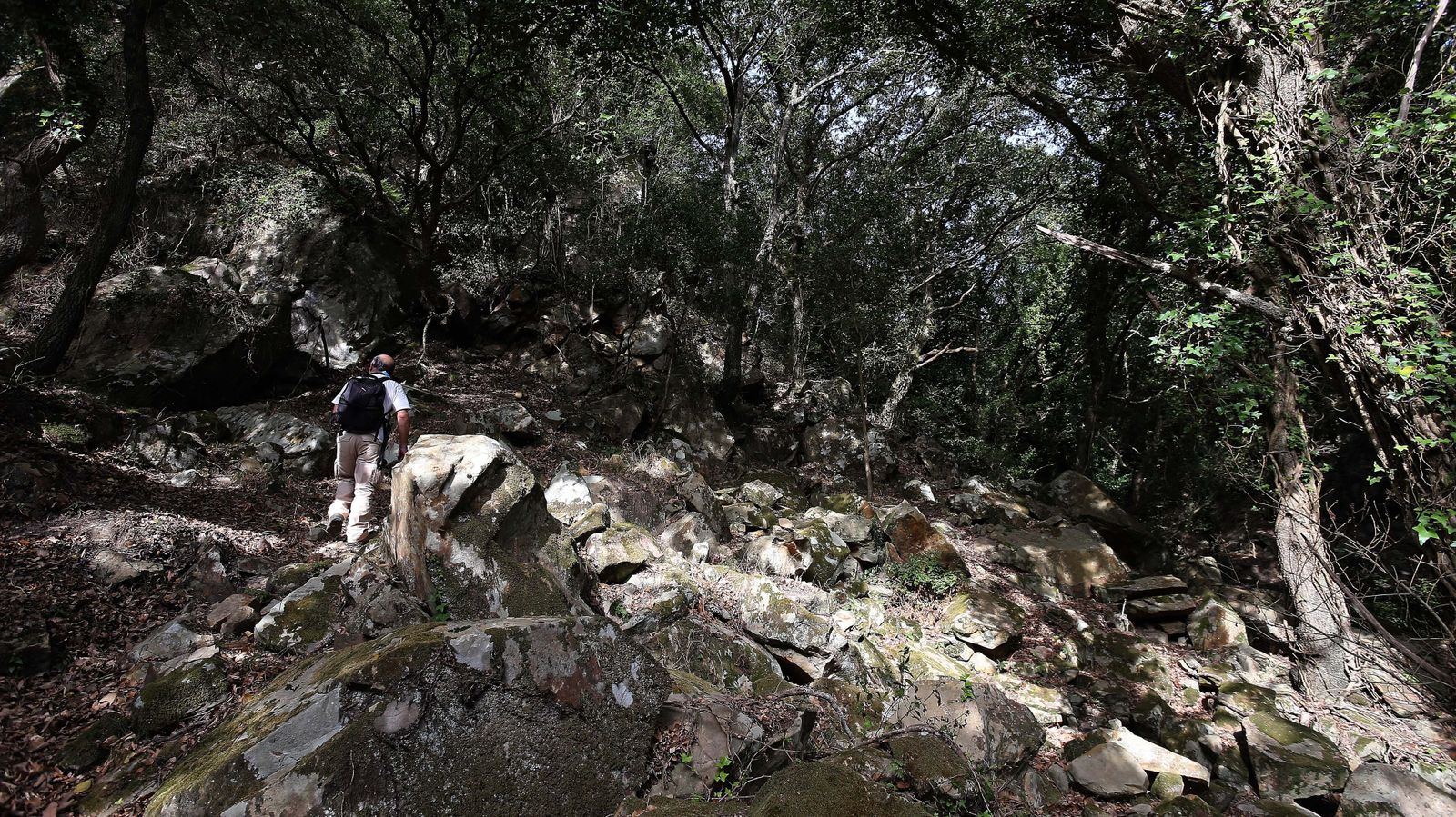 Las mejores fotos de San Carlos del Tiradero