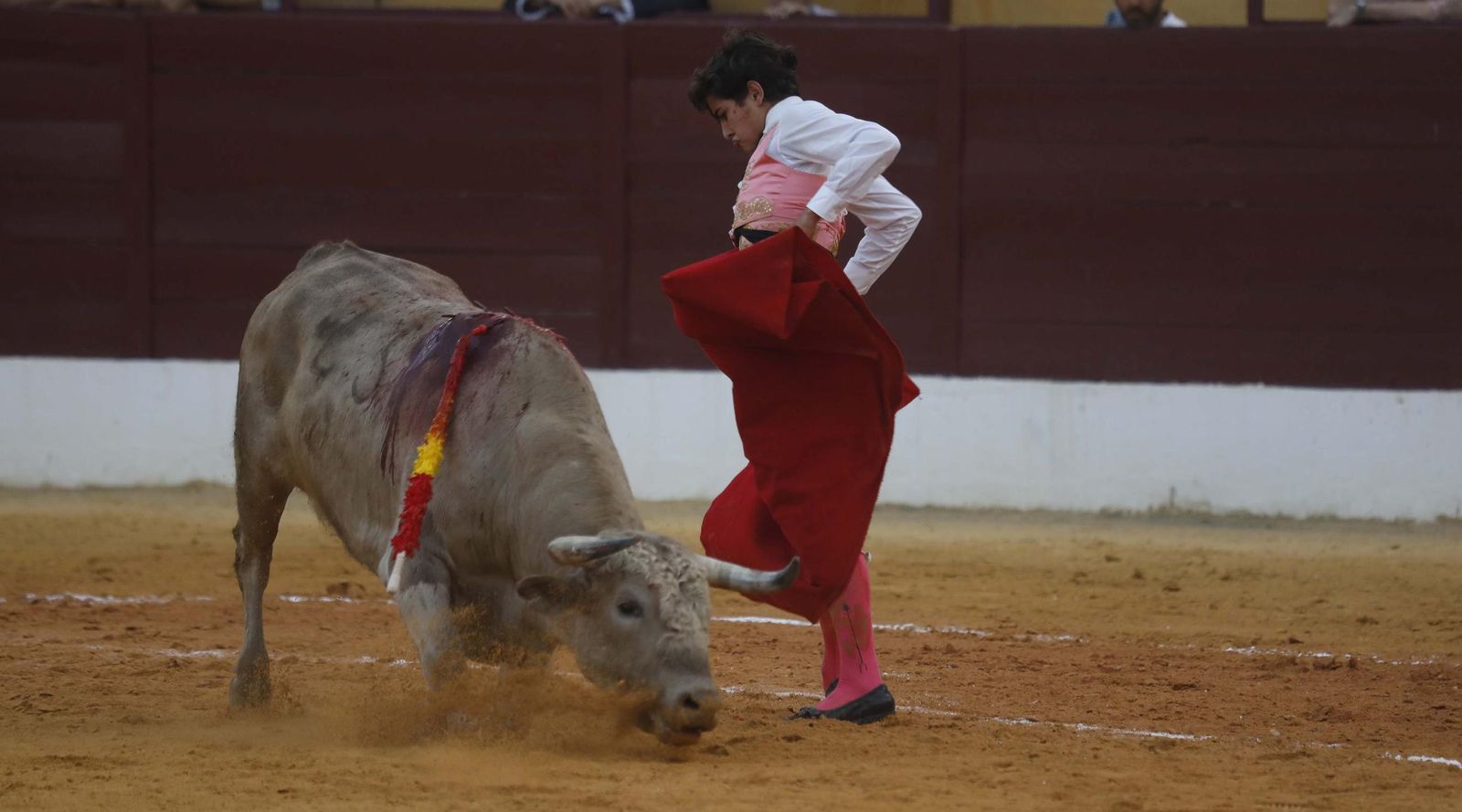 Fotos del triunfo de Manuel Roman y Javier Zulueta con la buena novillada de Núñez de Tarifa que abrió la Feria de La Línea