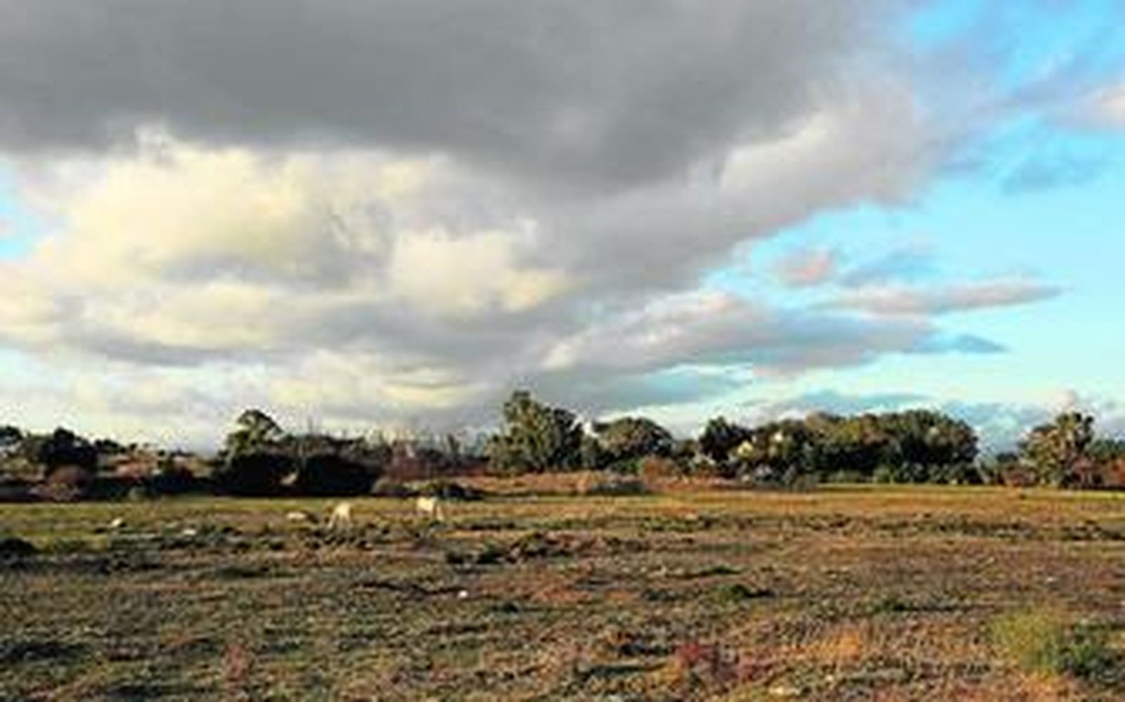 Suelos del sector de La Cizaña, localizados en la frontera entre Málaga capital y Torremolinos.