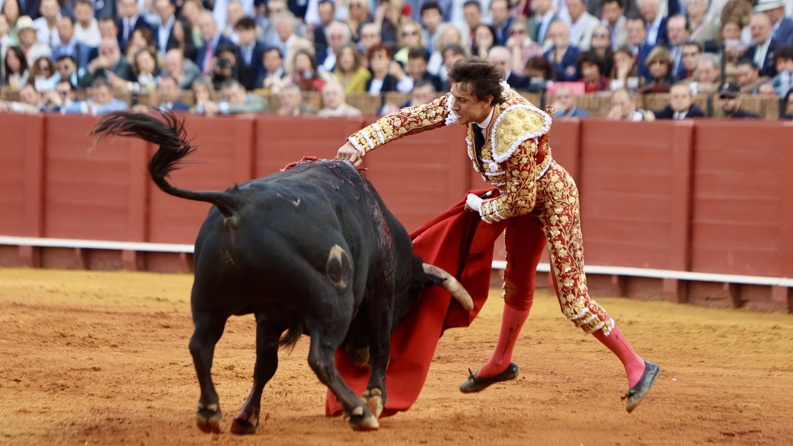 Tremendo el estoconazo a ‘Cojito’ y las dos orejas para Andrés Roca Rey.