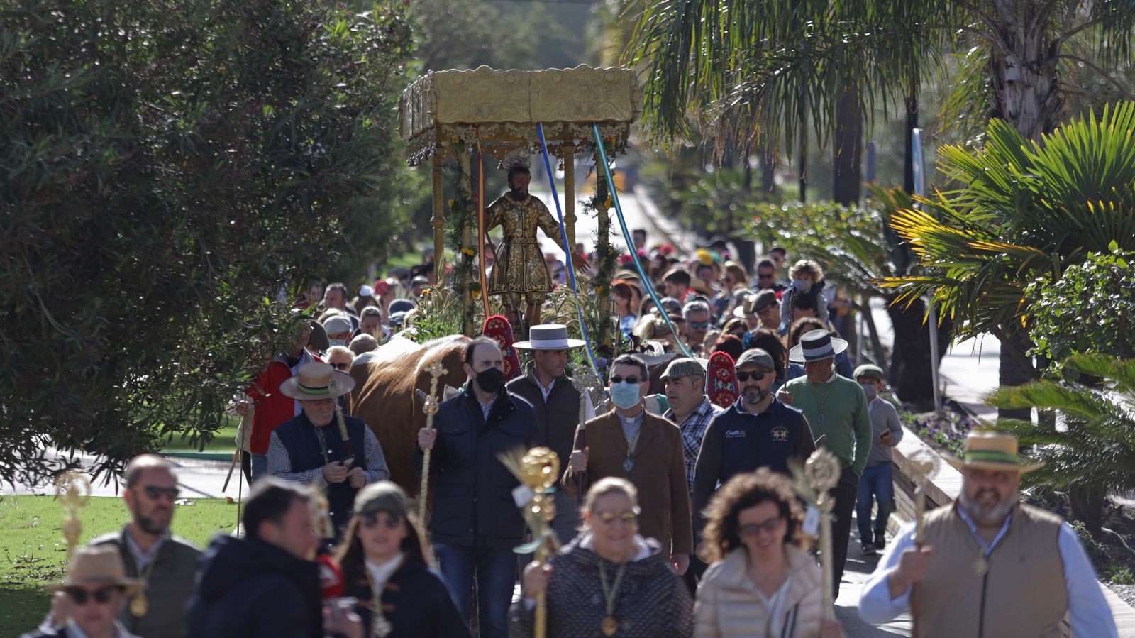 Fotos de la Romería de San Isidro en Los Barrios