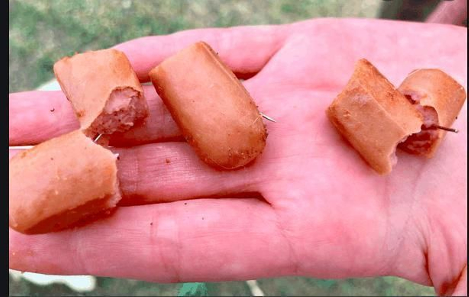 Acusado por dejar comida con clavos y alfileres en zonas de paseo de mascotas