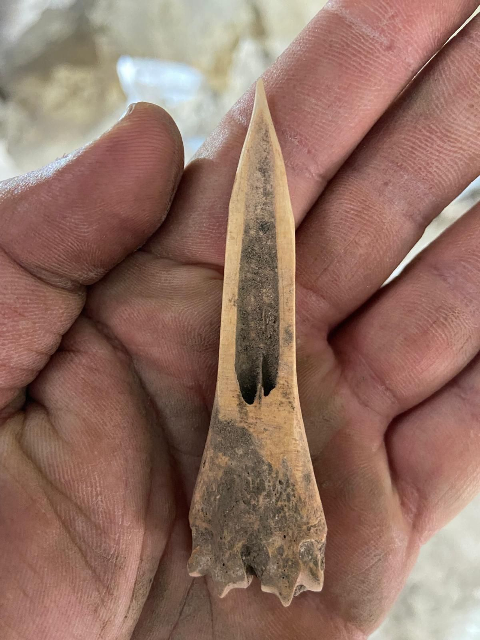 Los hallazgos de restos humanos de la edad del Cobre, en la cueva del río Cuadros, en Bedmar, en imágenes