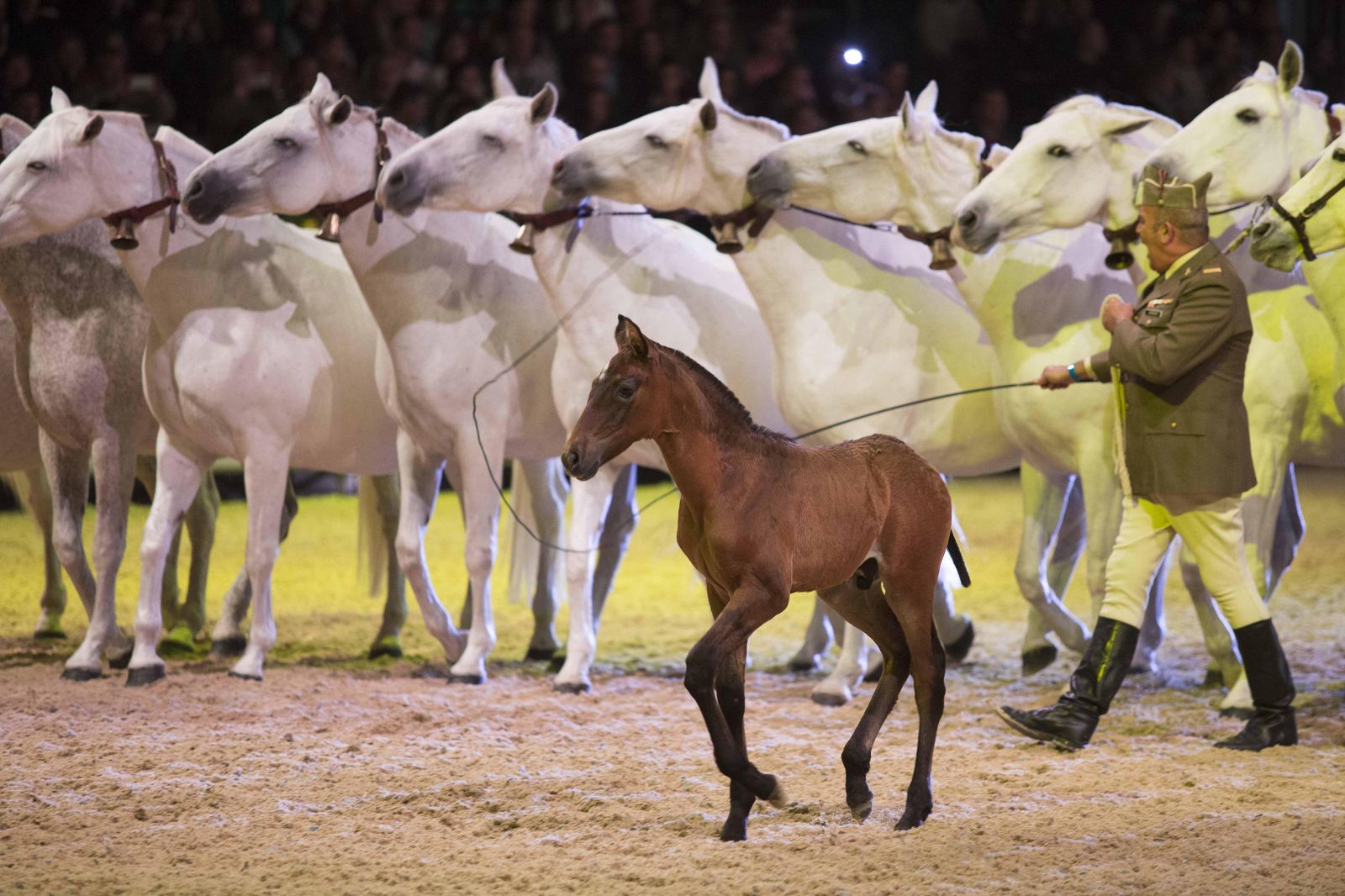 Espectáculo inaugural de Sicab
