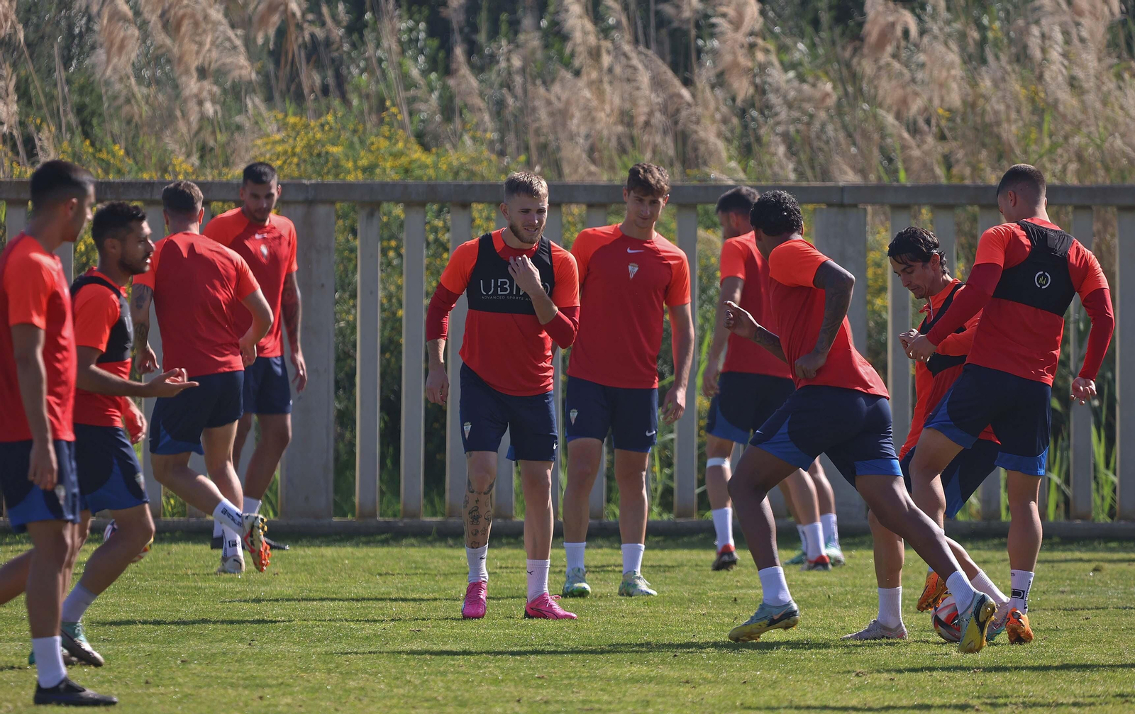 Imágenes del entrenamiento del Algeciras CF