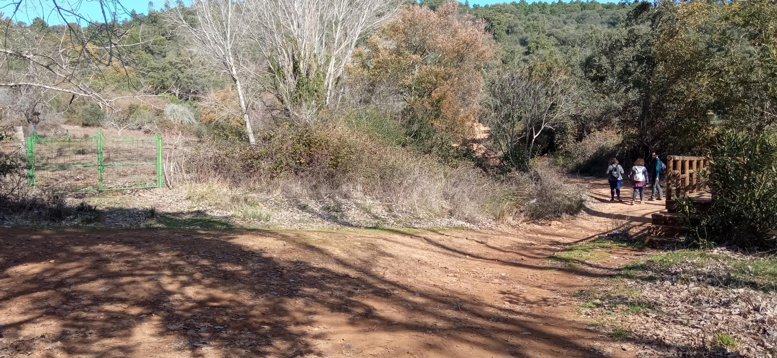 Las imágenes de la ruta de la cascada de Jollarancos y bosque de las letras