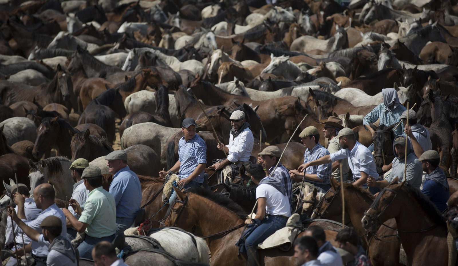 La tradicional y ancestral 'Saca de las  Yeguas', en imágenes