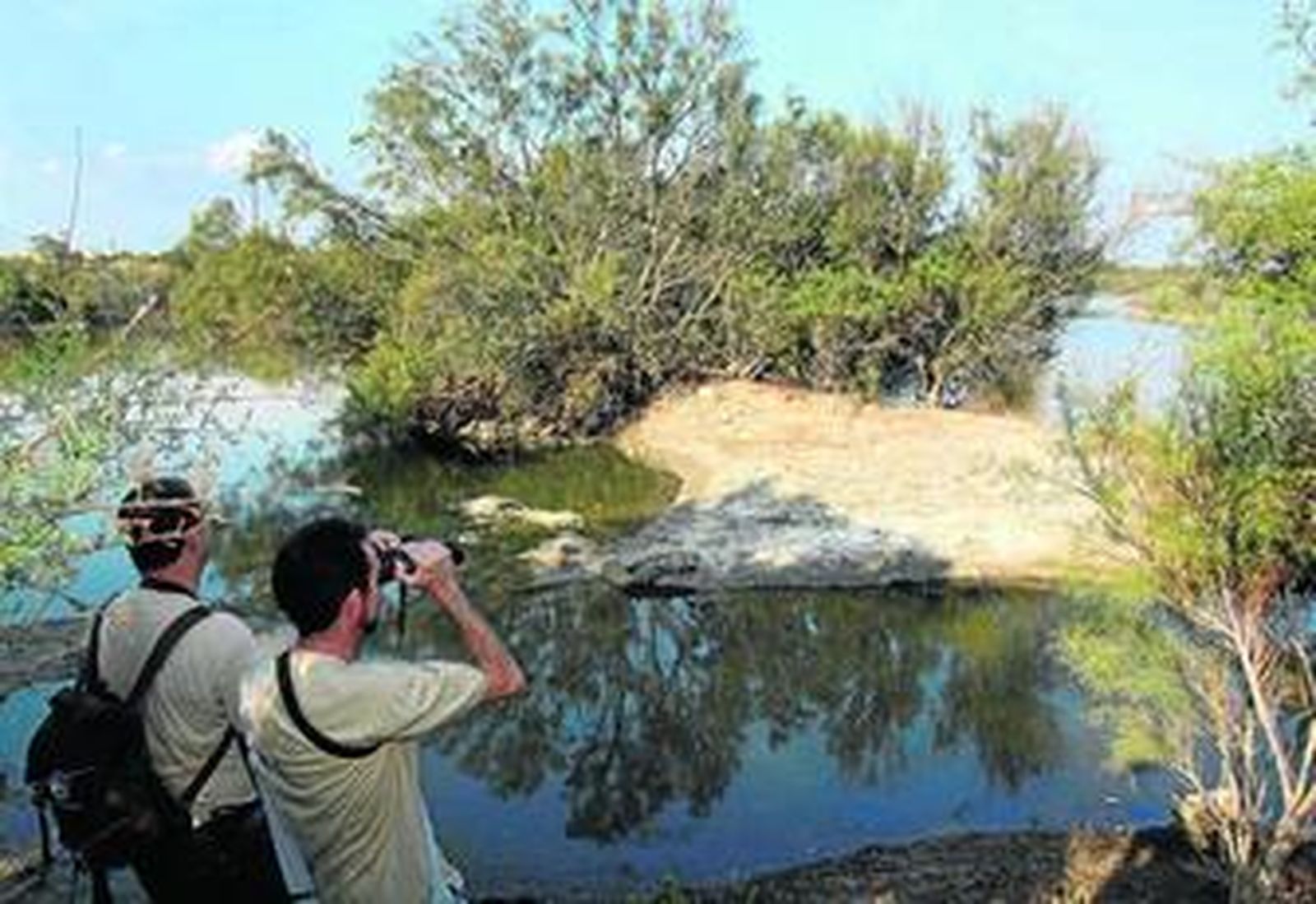 Dos miembros de la SEO observan las aves de una de las lagunas de la desembocadura del Guadalhorce.