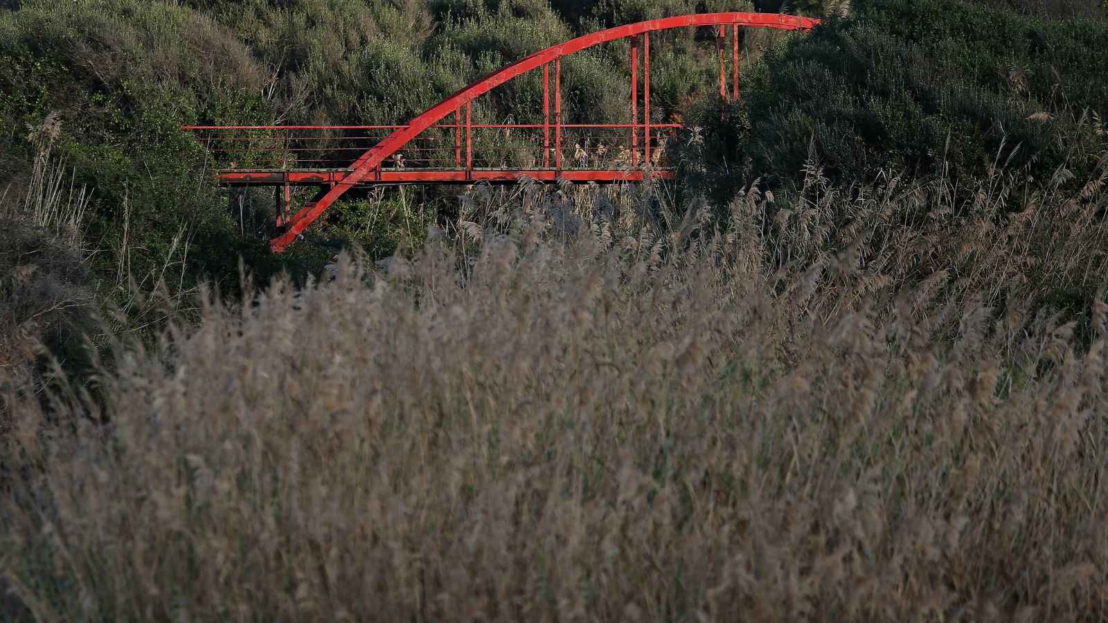 Las mejores fotos del parque fluvial del Río Pícaro