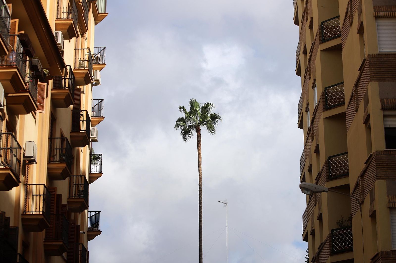 Imágenes del domingo 17 de septiembre en Huelva
