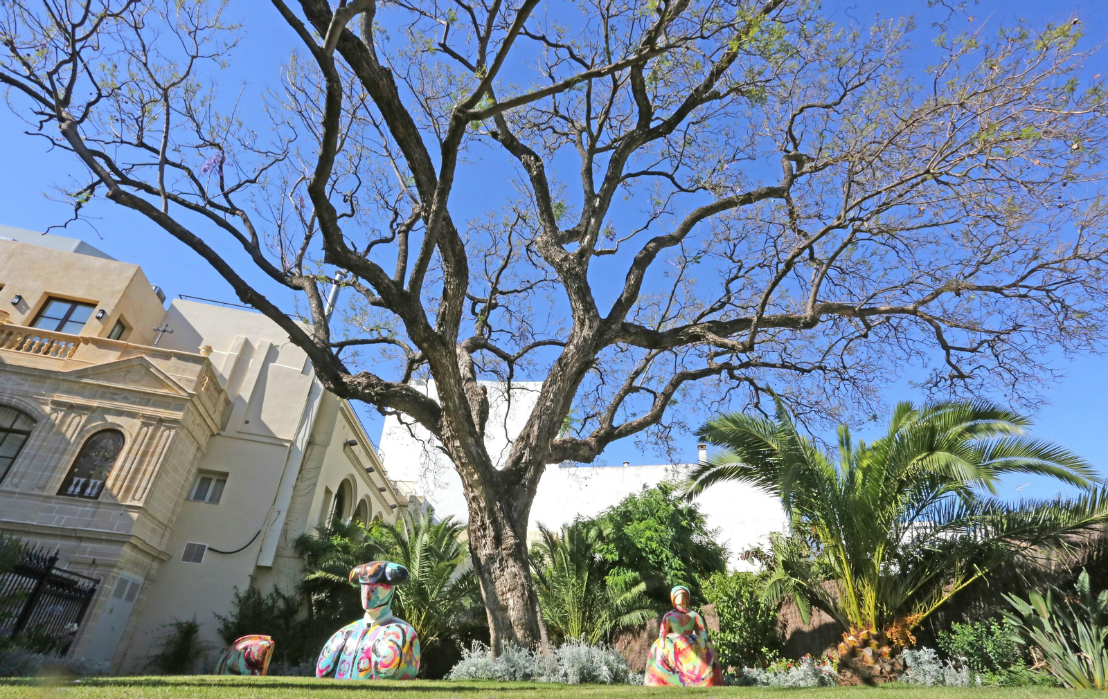 Jacaranda del Hotel Casa Palacio María Luisa.