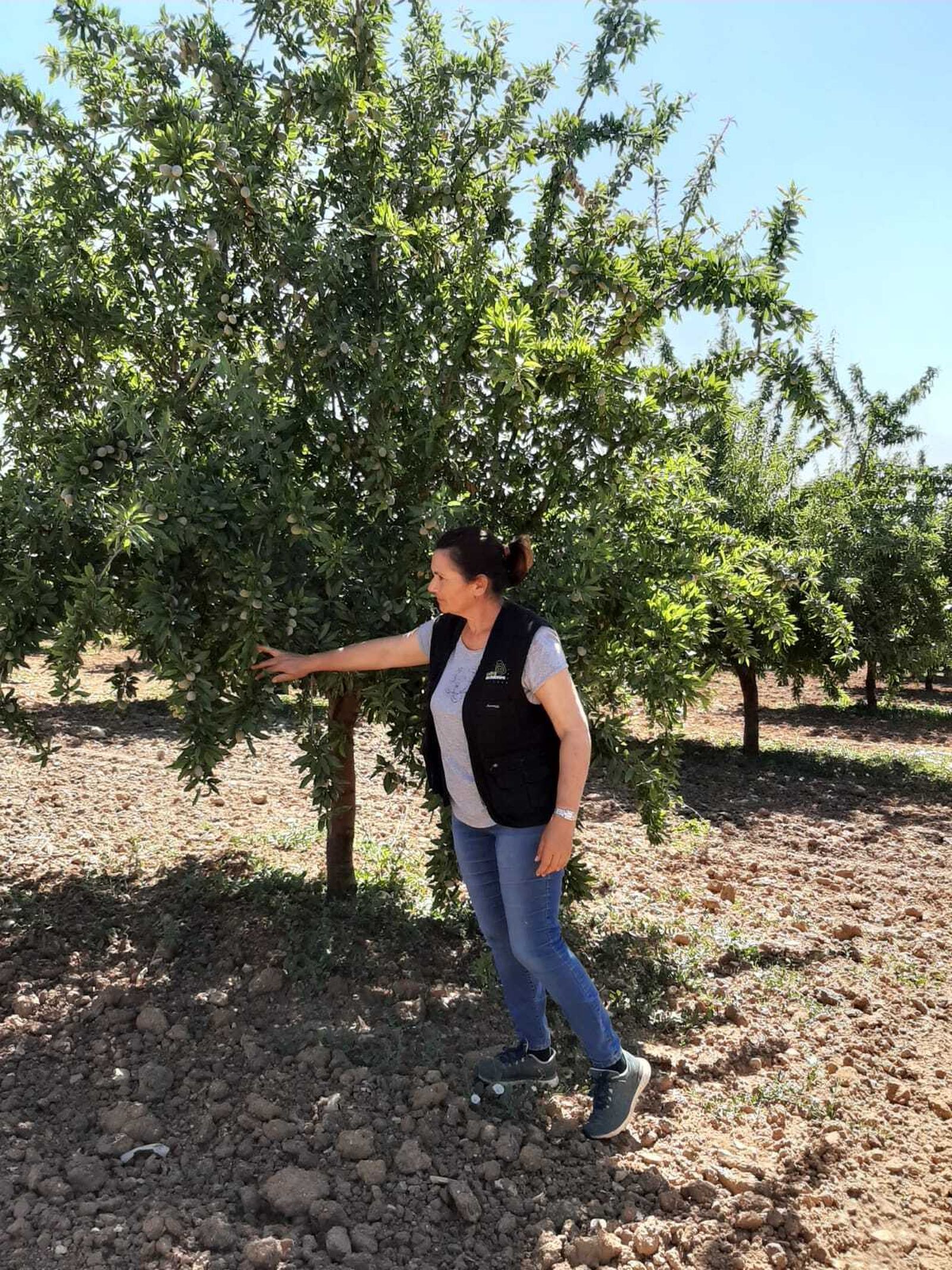 Dolores Doblado junto a sus almendros.