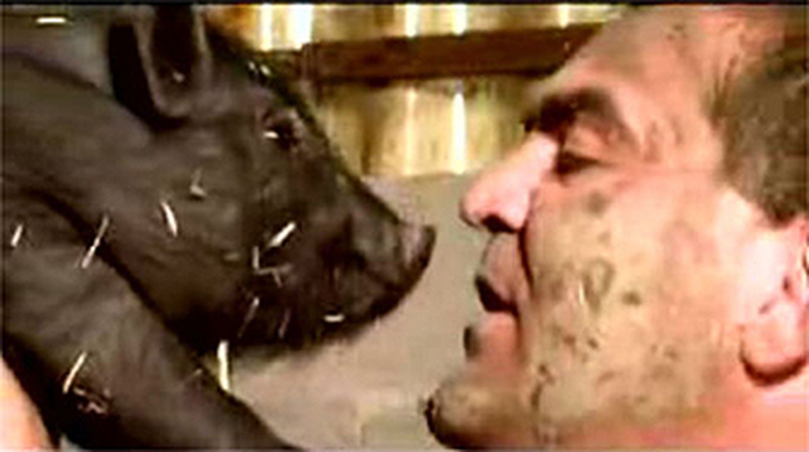 'Soy Arbañí, arbañí, arbañí', el nuevo single de El Koala