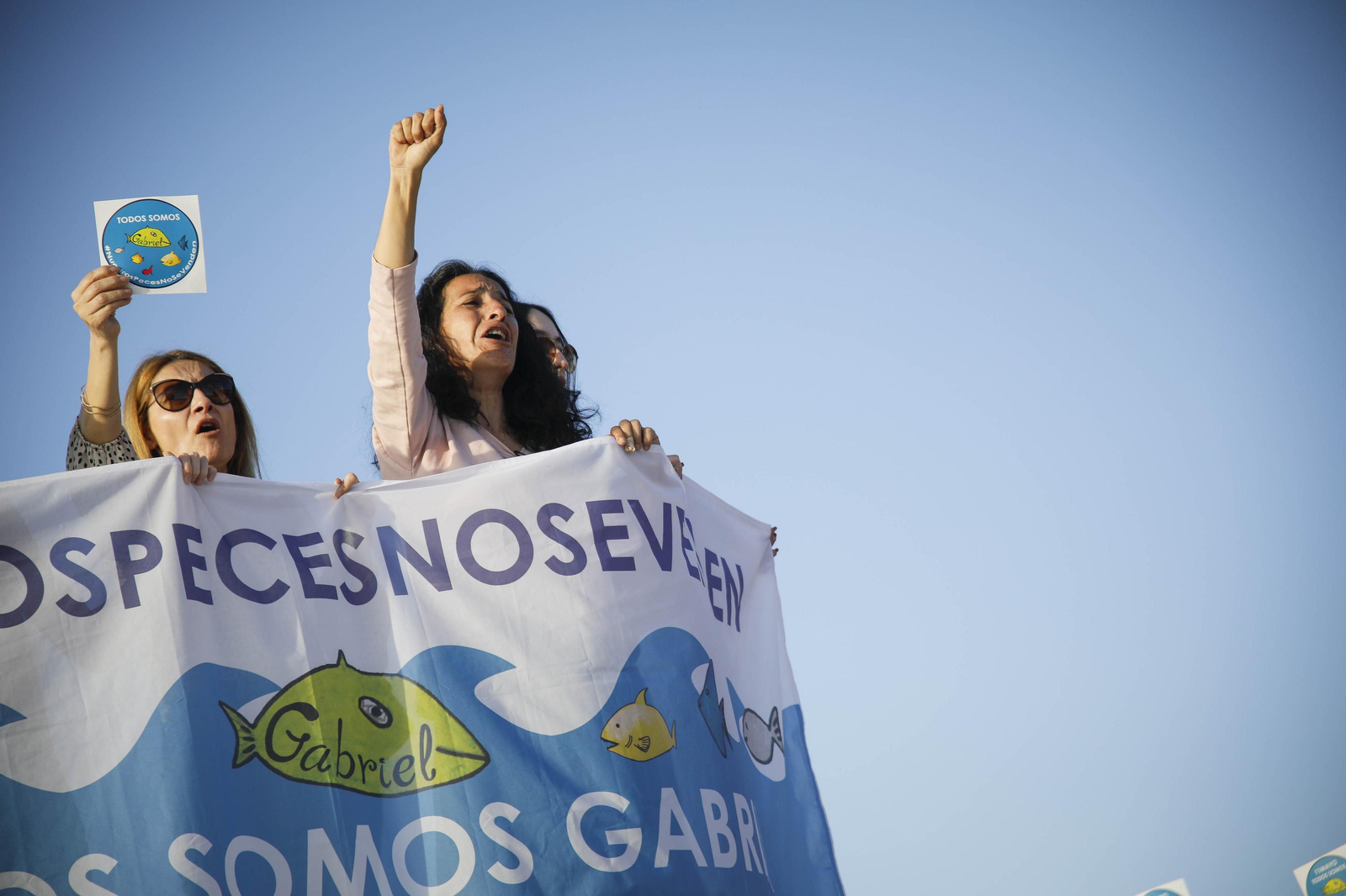 Nuestros peces no se venden, en imágenes