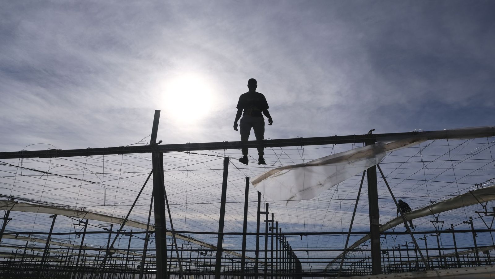Los efectos del temporal de viento en los invernaderos, en imágenes