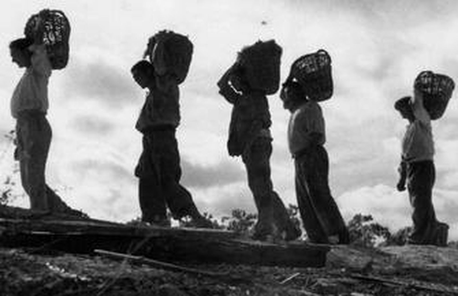 Del "dictador", la vendimia, los patrones y el pendón de Jerez