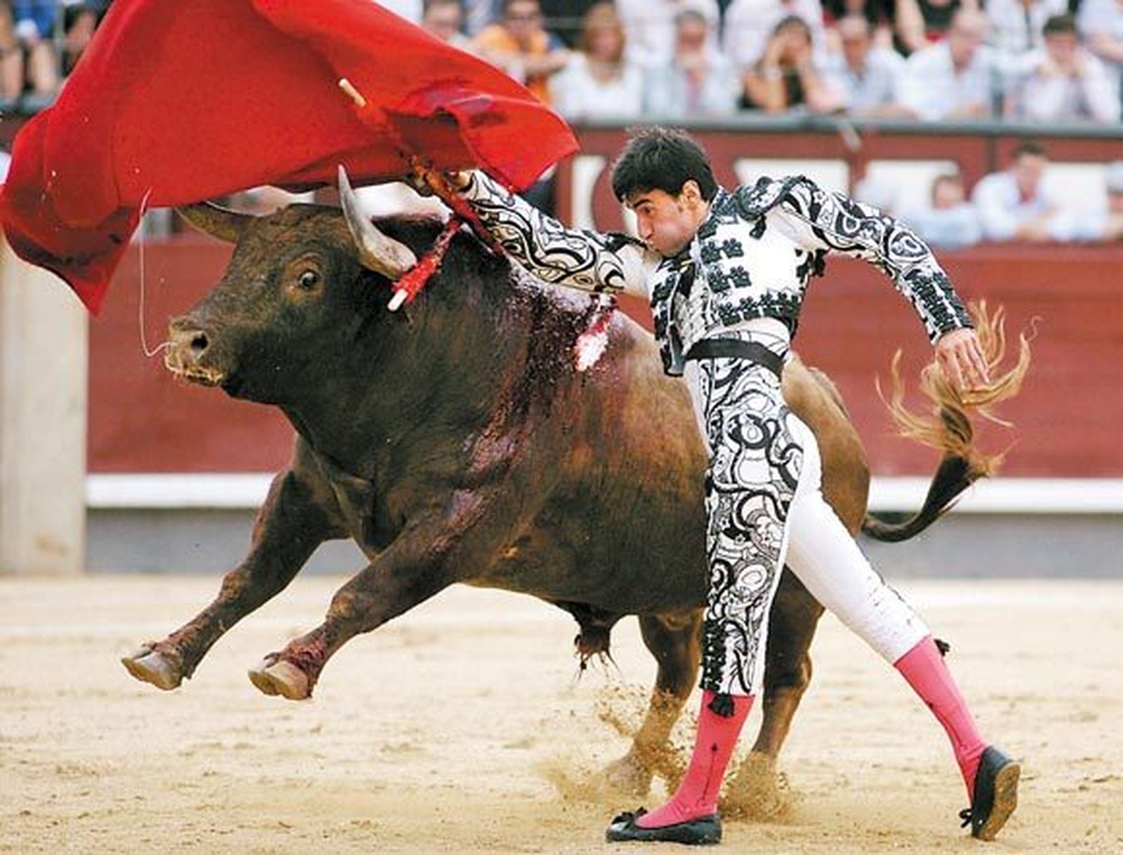 Fernando Cruz: Torero de buenas maneras