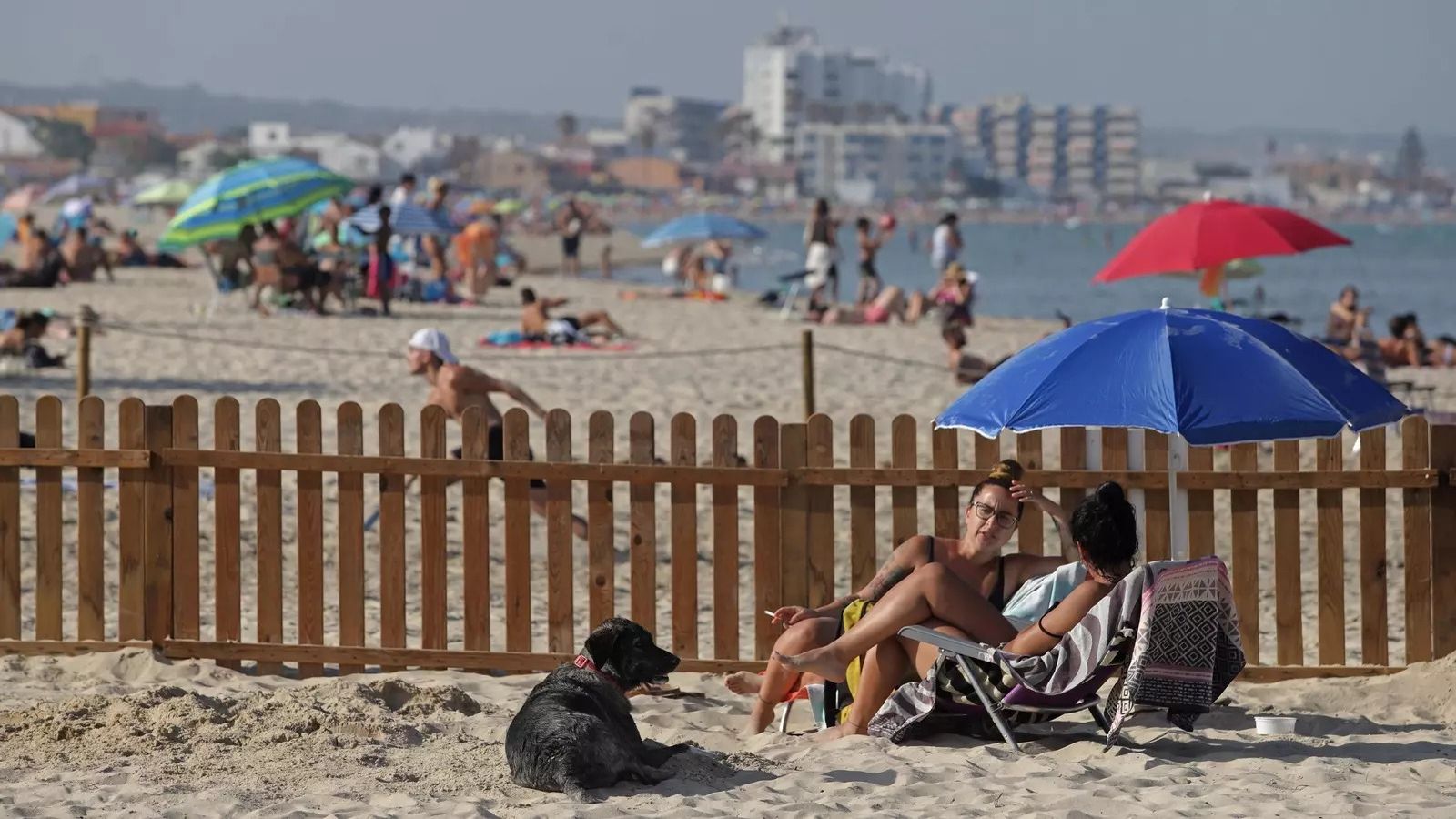El Rinconcillo y La Concha, con el espacio de la playa canina, durante el pasado verano.